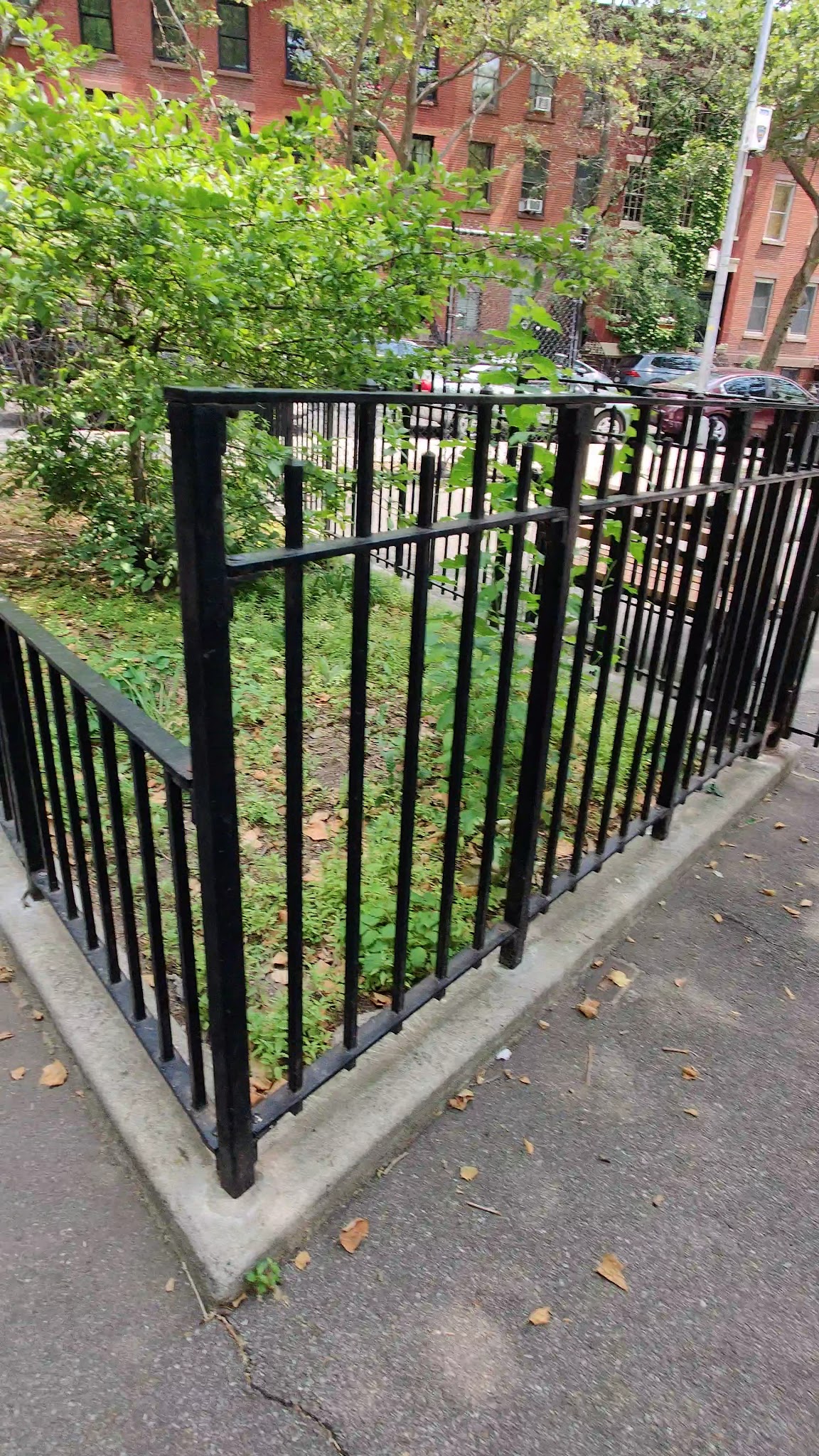 Nicholas Naquan Heyward Jr. Park - Brooklyn, NY