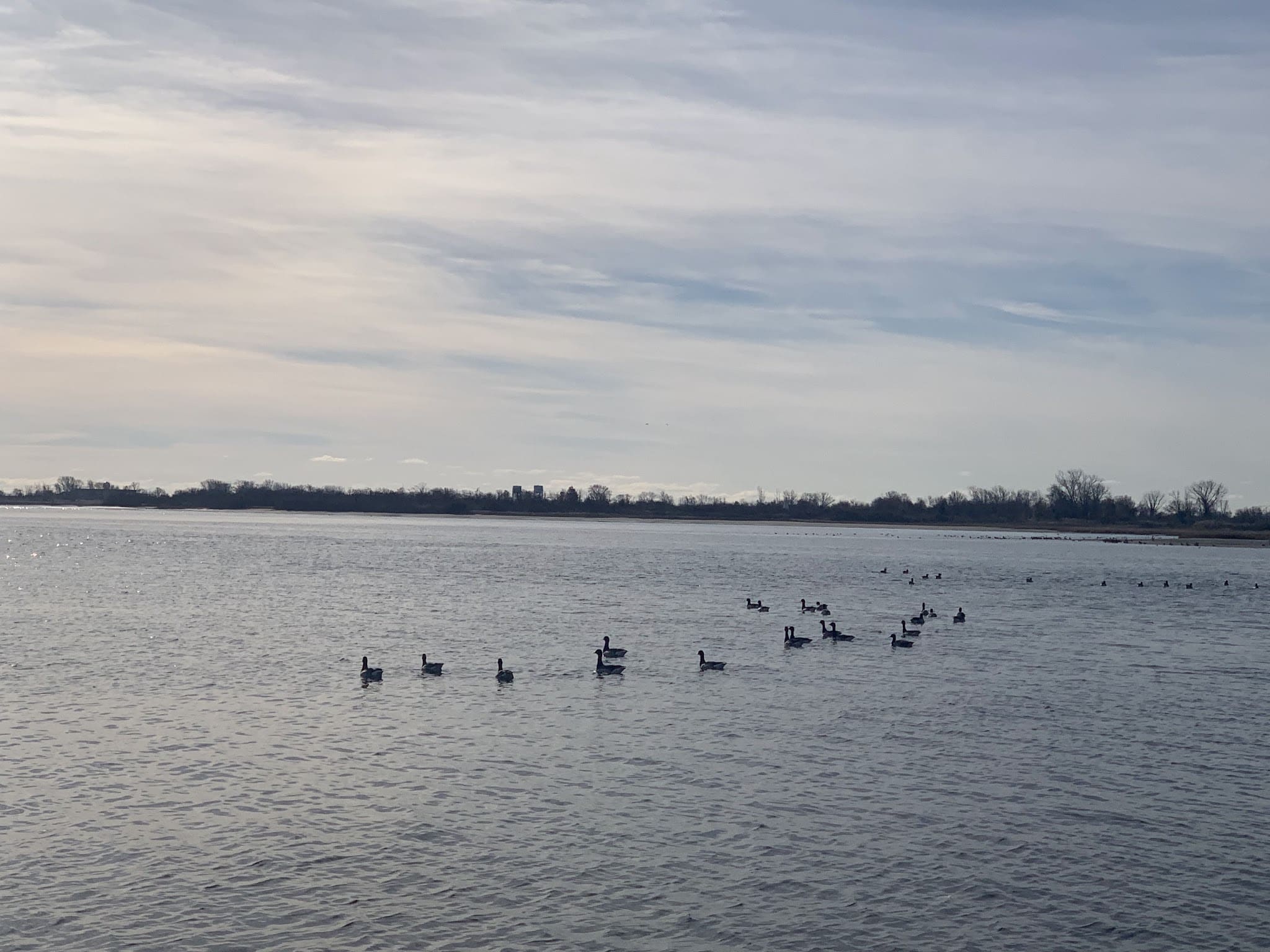 Paerdegat Beach - Brooklyn, NY