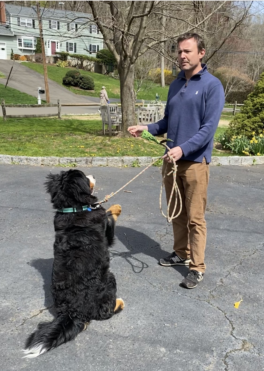 Pawmos Dog Training - Brooklyn, NY