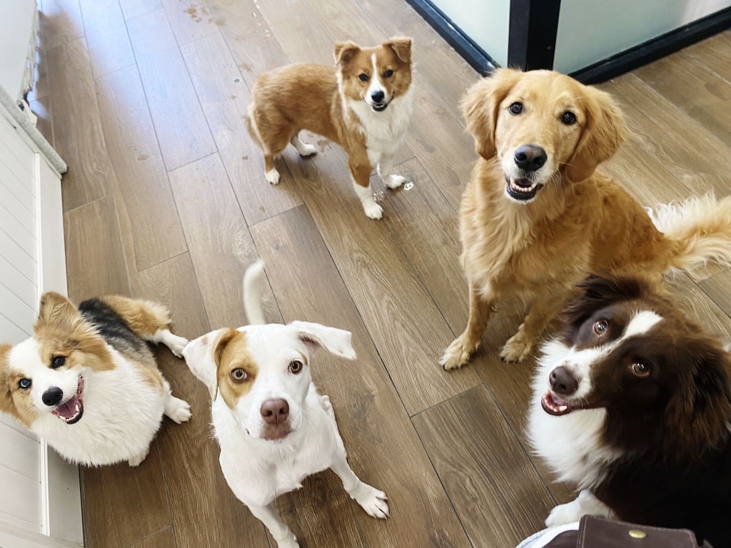 ProspectBArk! - Brooklyn, NY