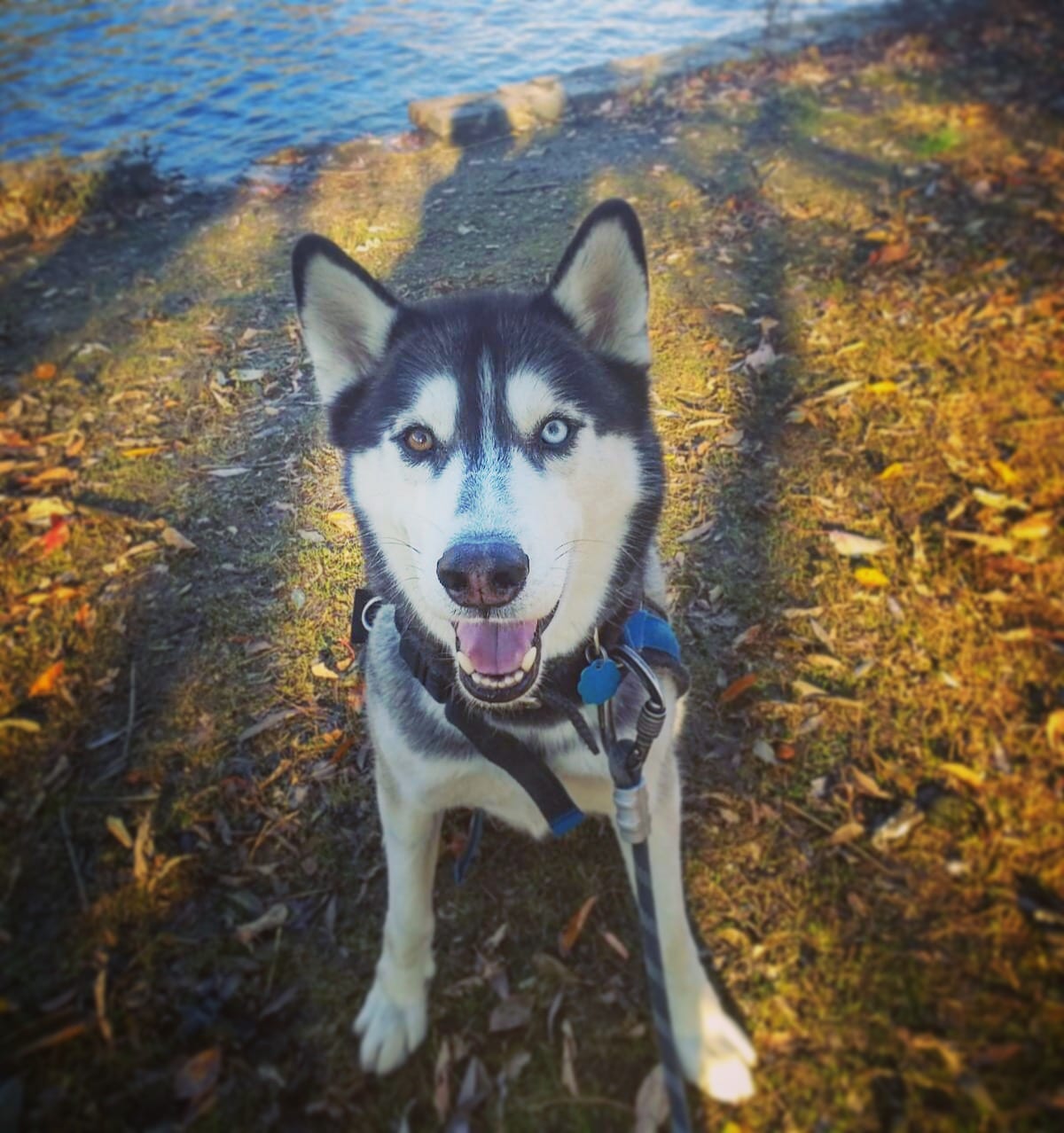 ProspectBArk! - Brooklyn, NY