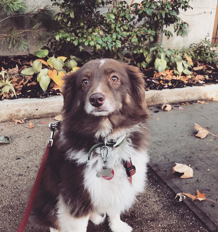 ProspectBArk! - Brooklyn, NY