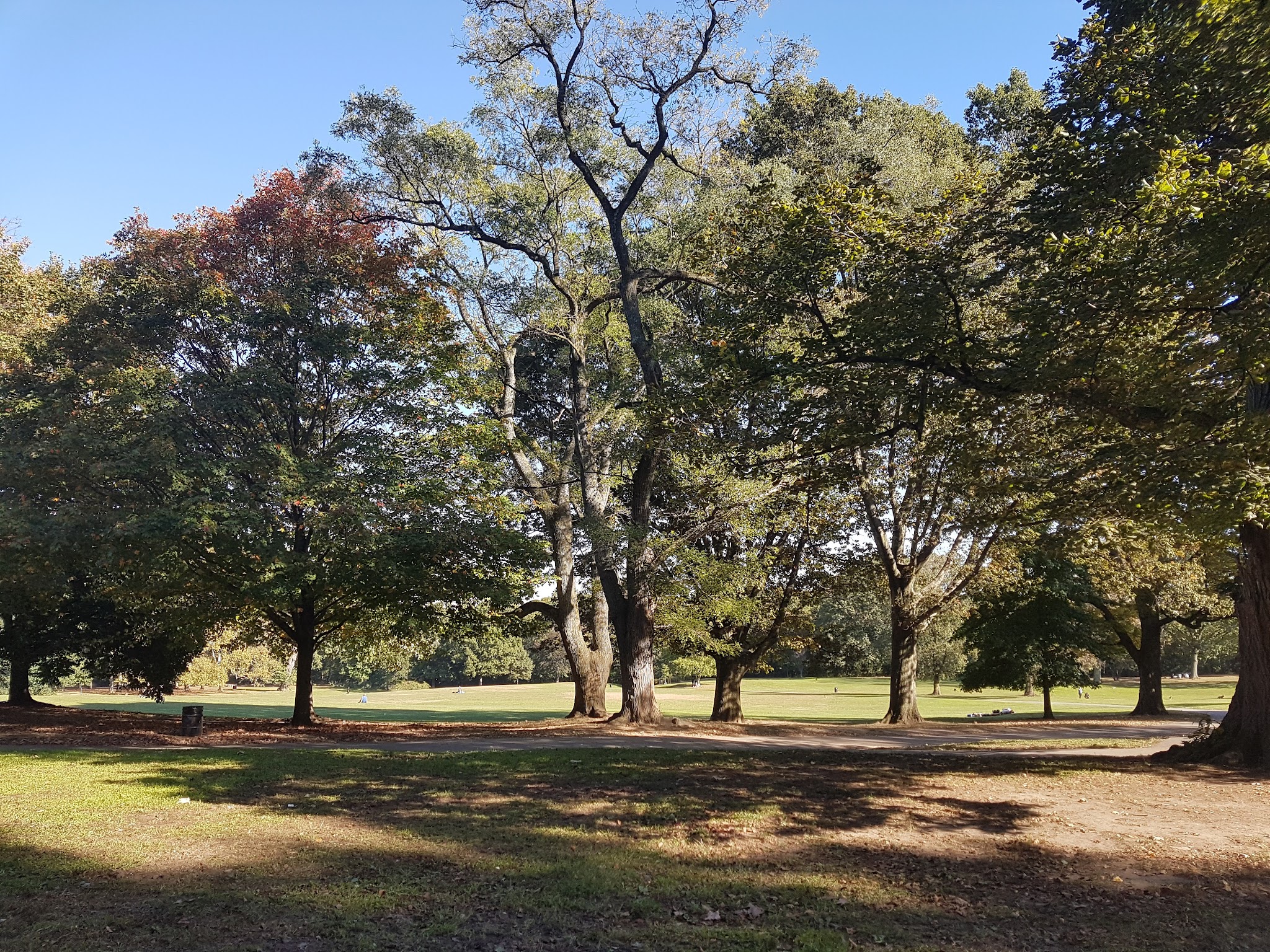 Ravine - Brooklyn, NY