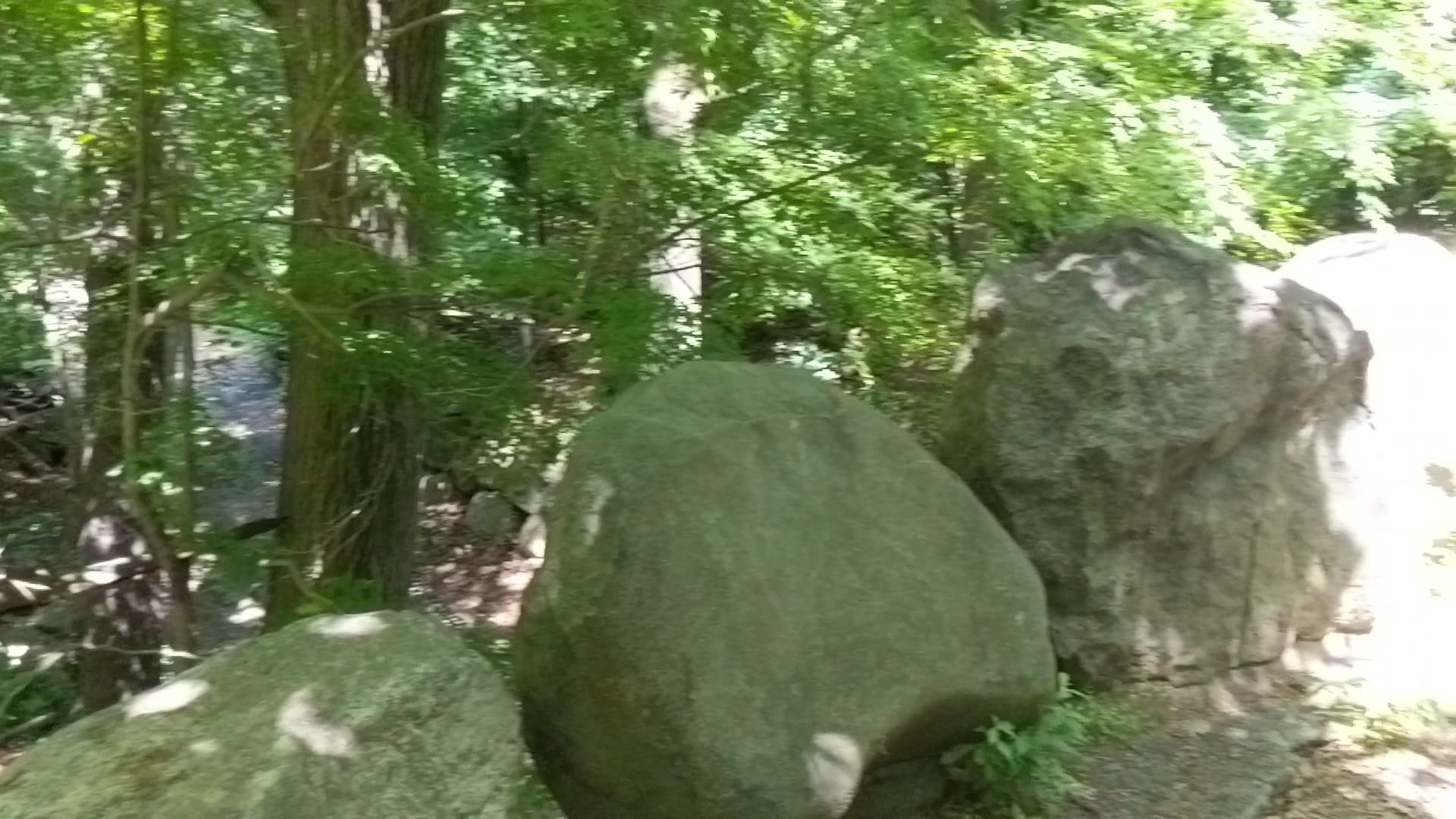 Ravine - Brooklyn, NY