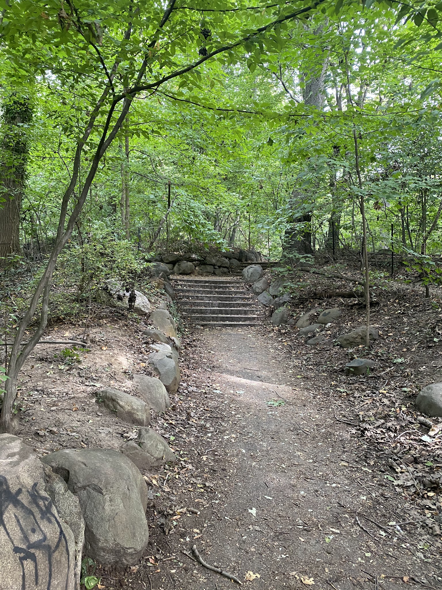 Ravine - Brooklyn, NY