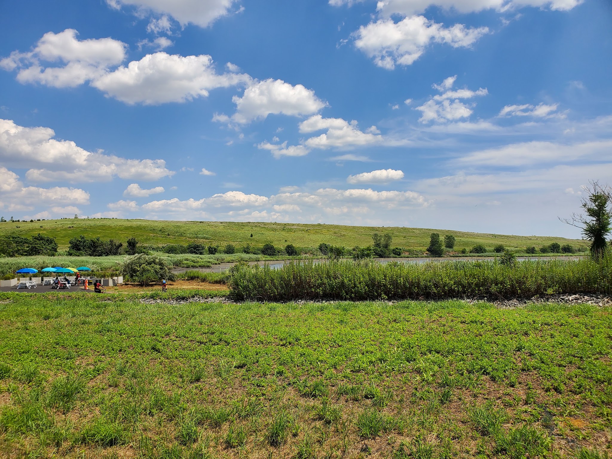 Starrett City Park - Brooklyn, NY
