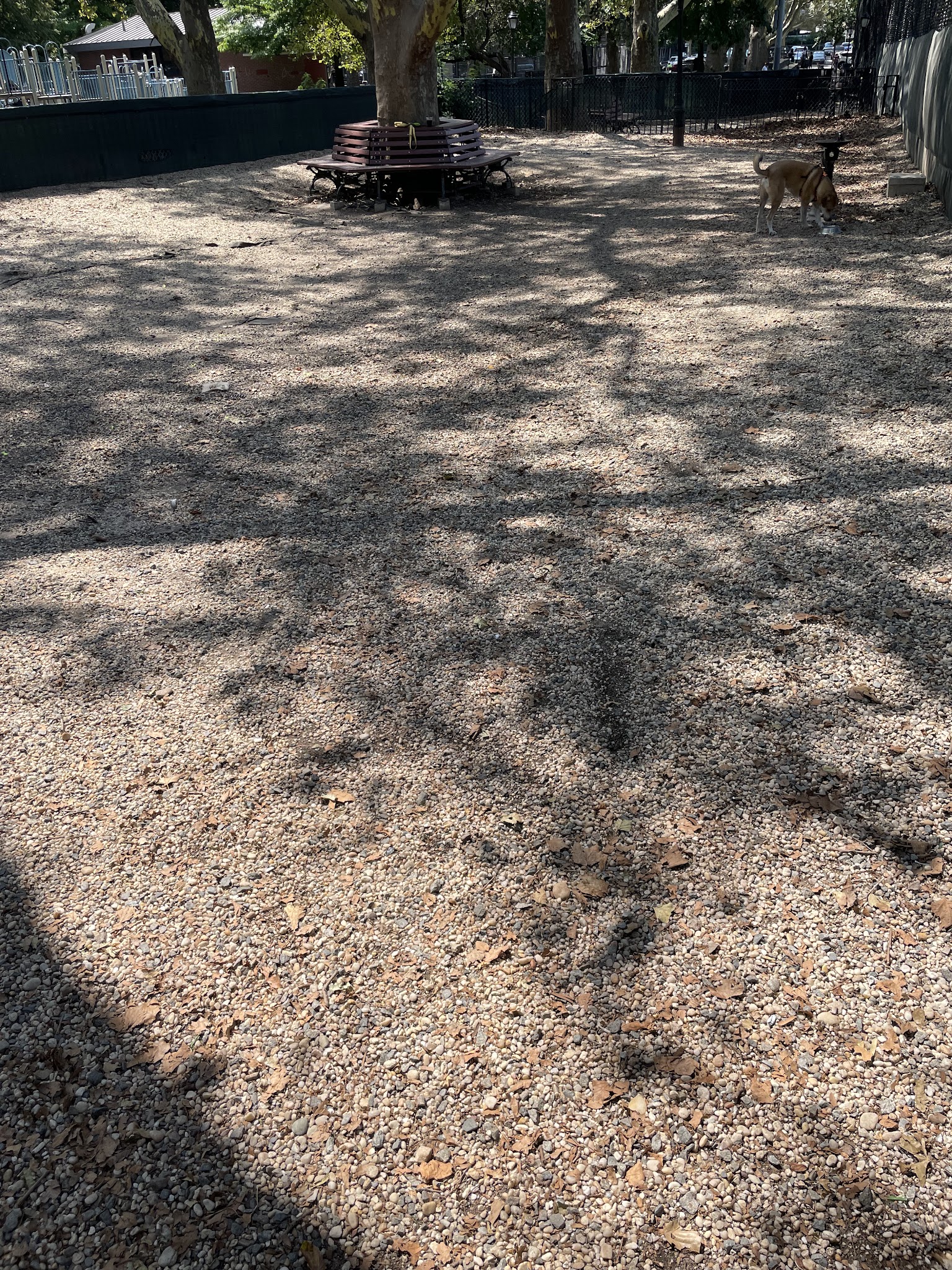 Sternberg Park Dog Run - Brooklyn, NY