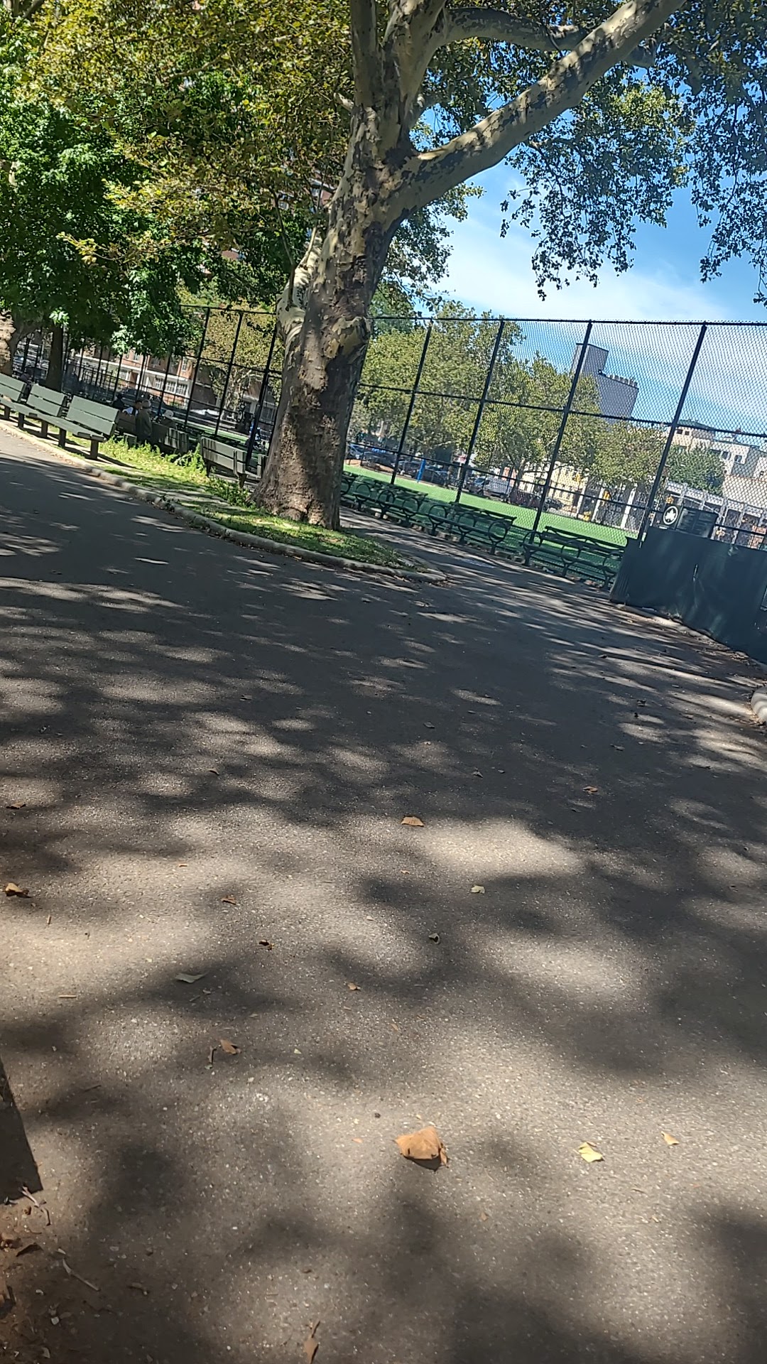 Sternberg Park Dog Run - Brooklyn, NY