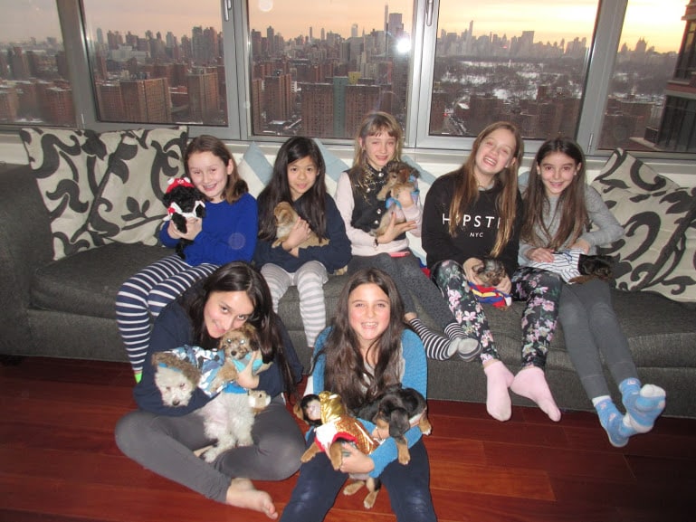 The Original Puppy Party! - Brooklyn, NY