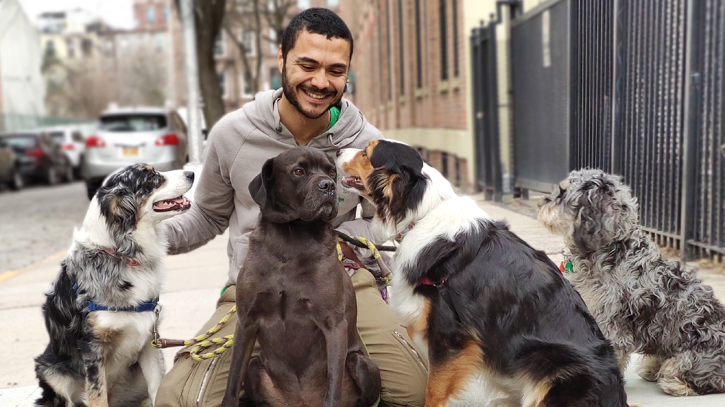 Woofs & Wags - Brooklyn, NY