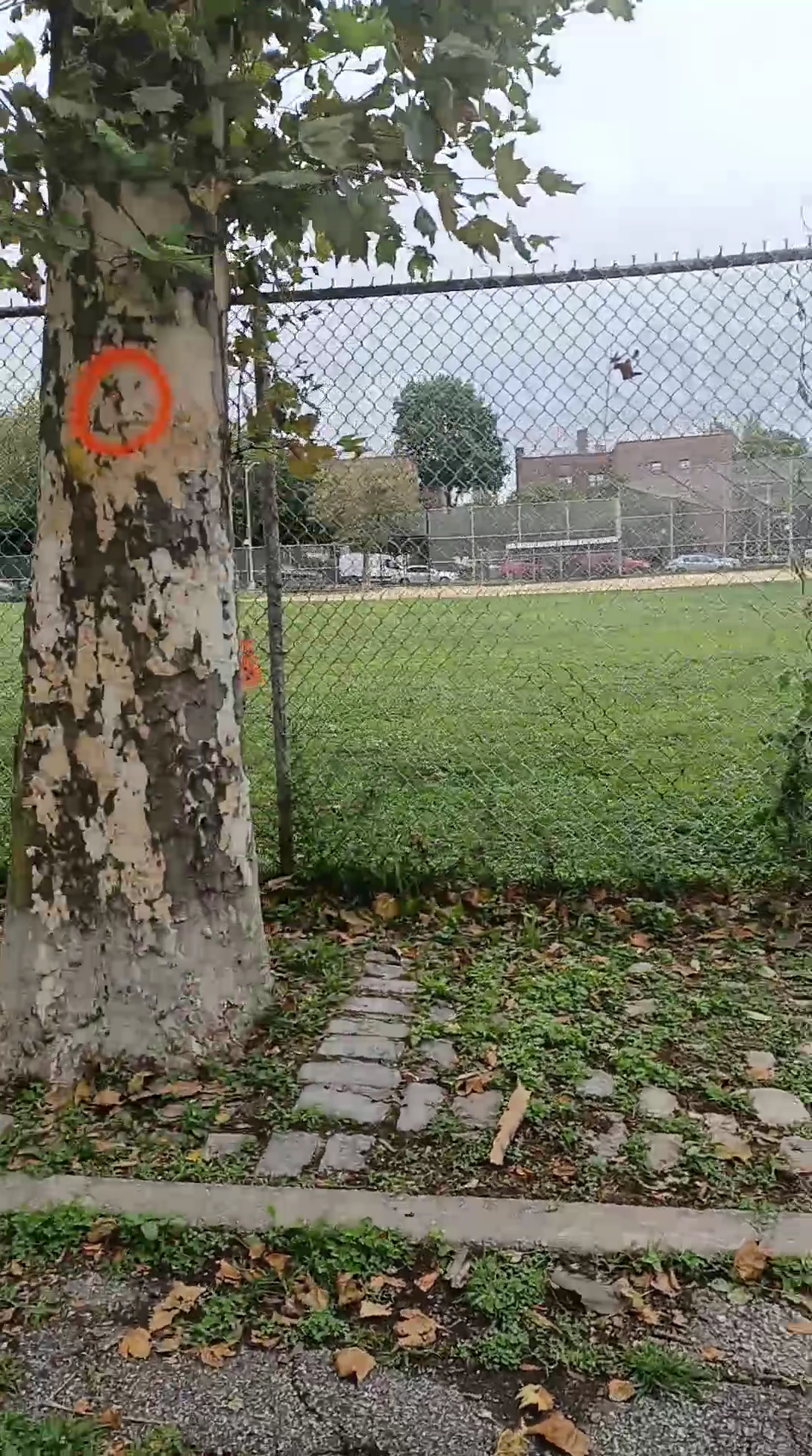 Bath Beach Park - Brooklyn, NY
