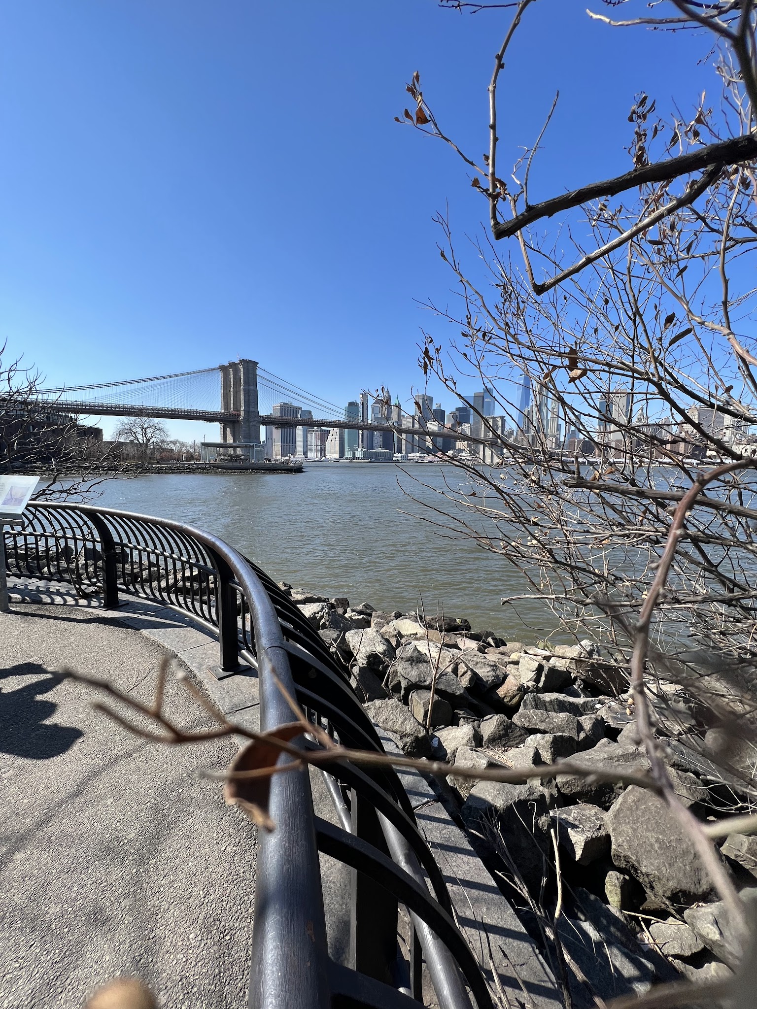 Brooklyn Bridge Park Dog Run - Brooklyn, NY