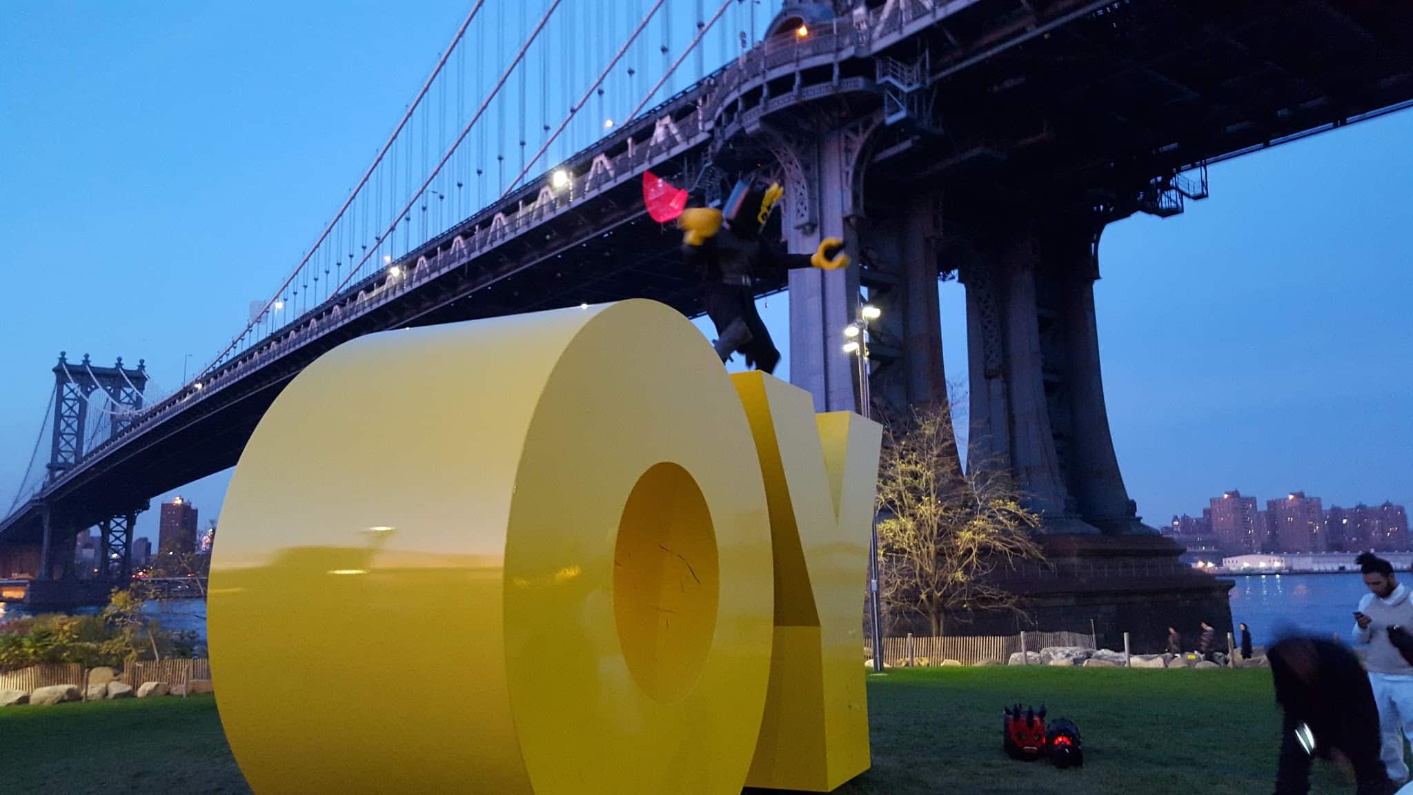 Brooklyn Bridge Park Dog Run - Brooklyn, NY