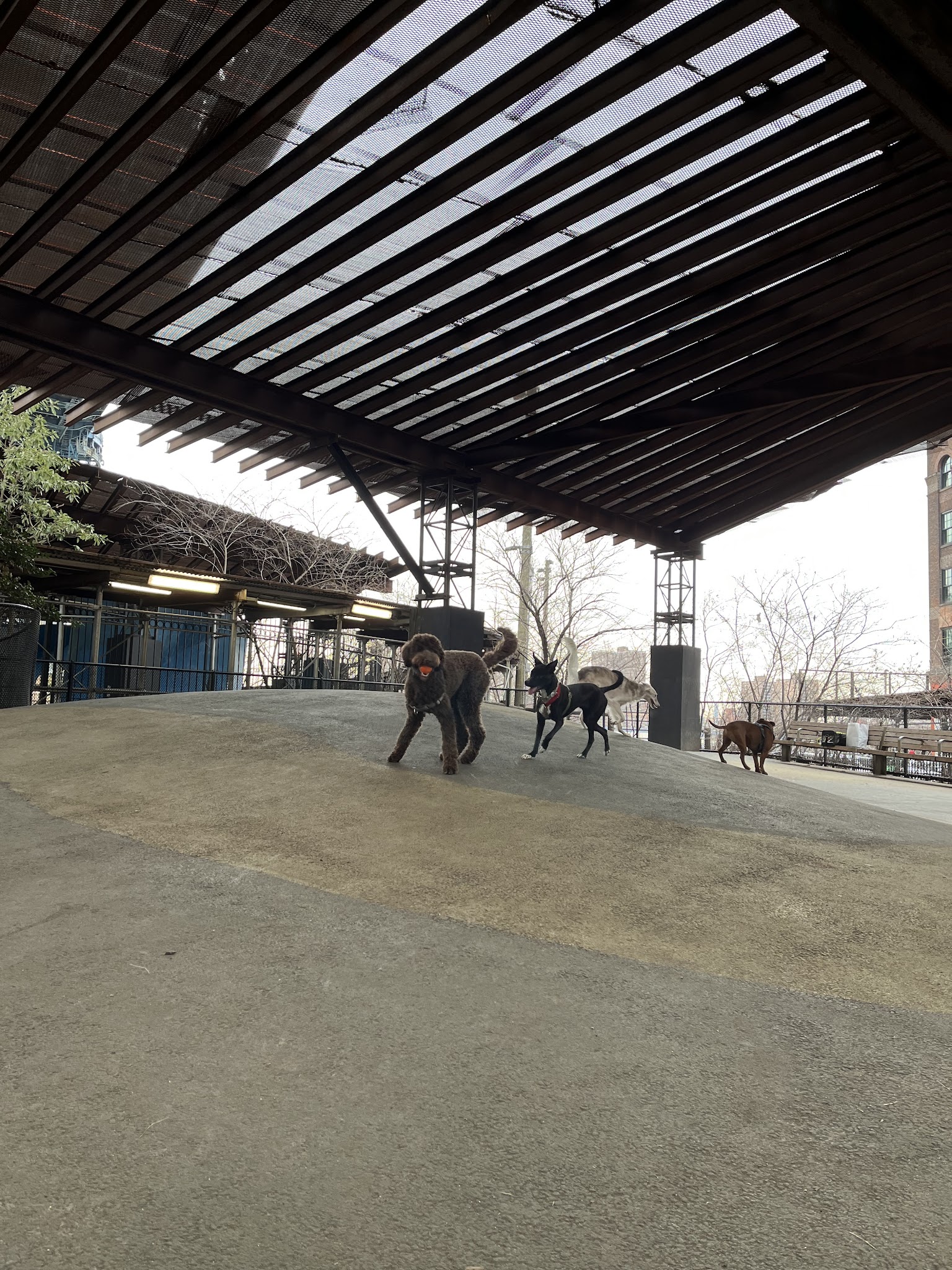 Brooklyn Bridge Park Dog Run - Brooklyn, NY