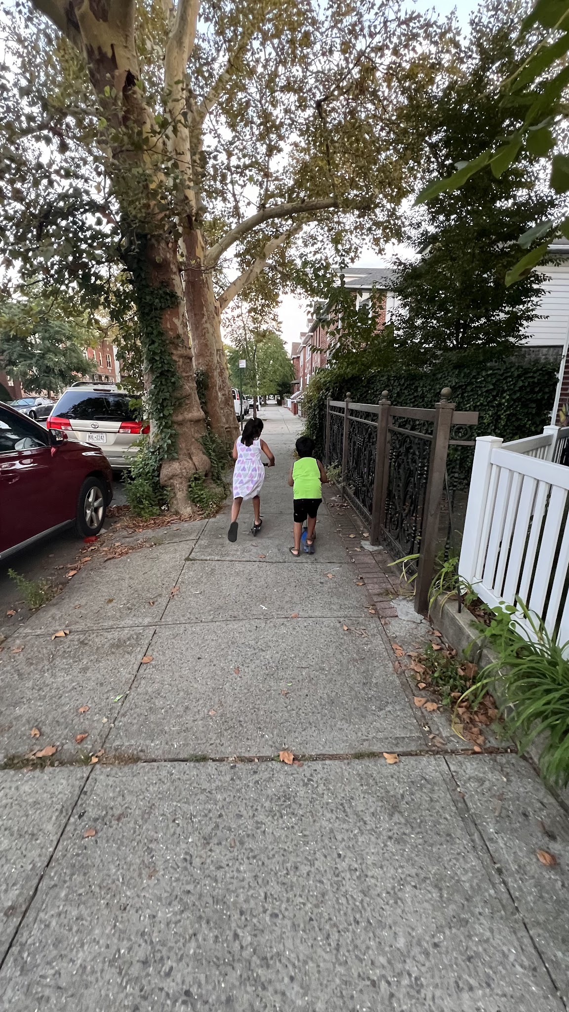 Dahill Triangle - Brooklyn, NY