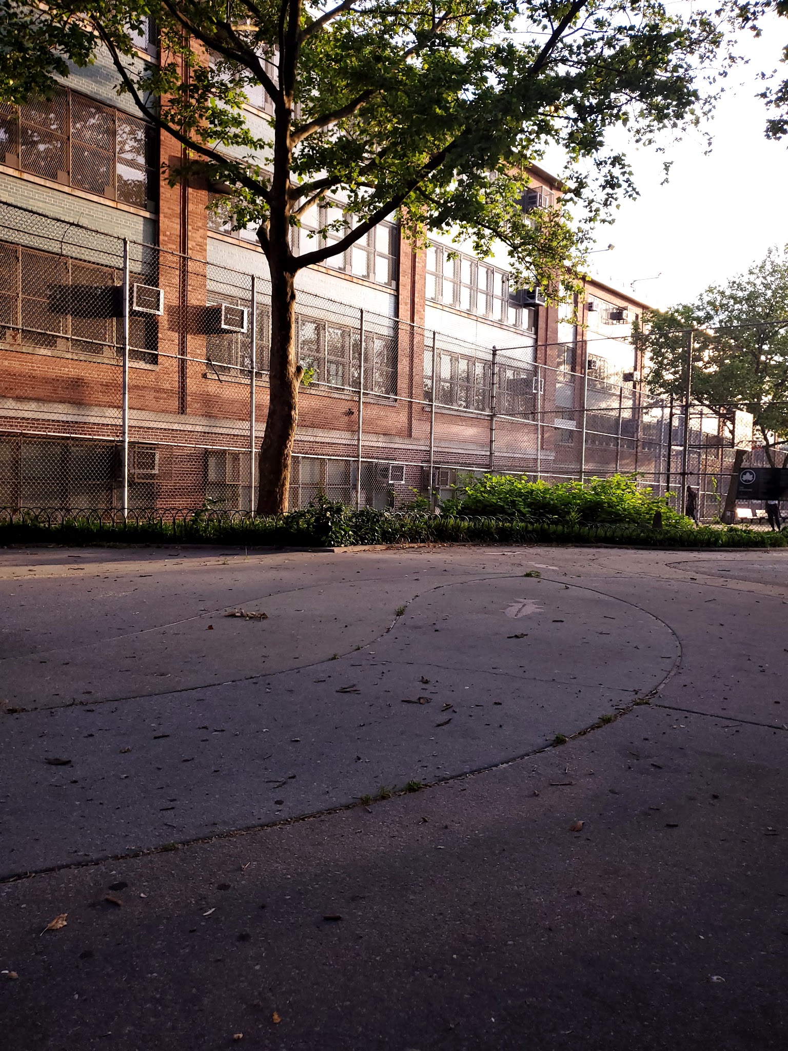 Fish Playground - Brooklyn, NY
