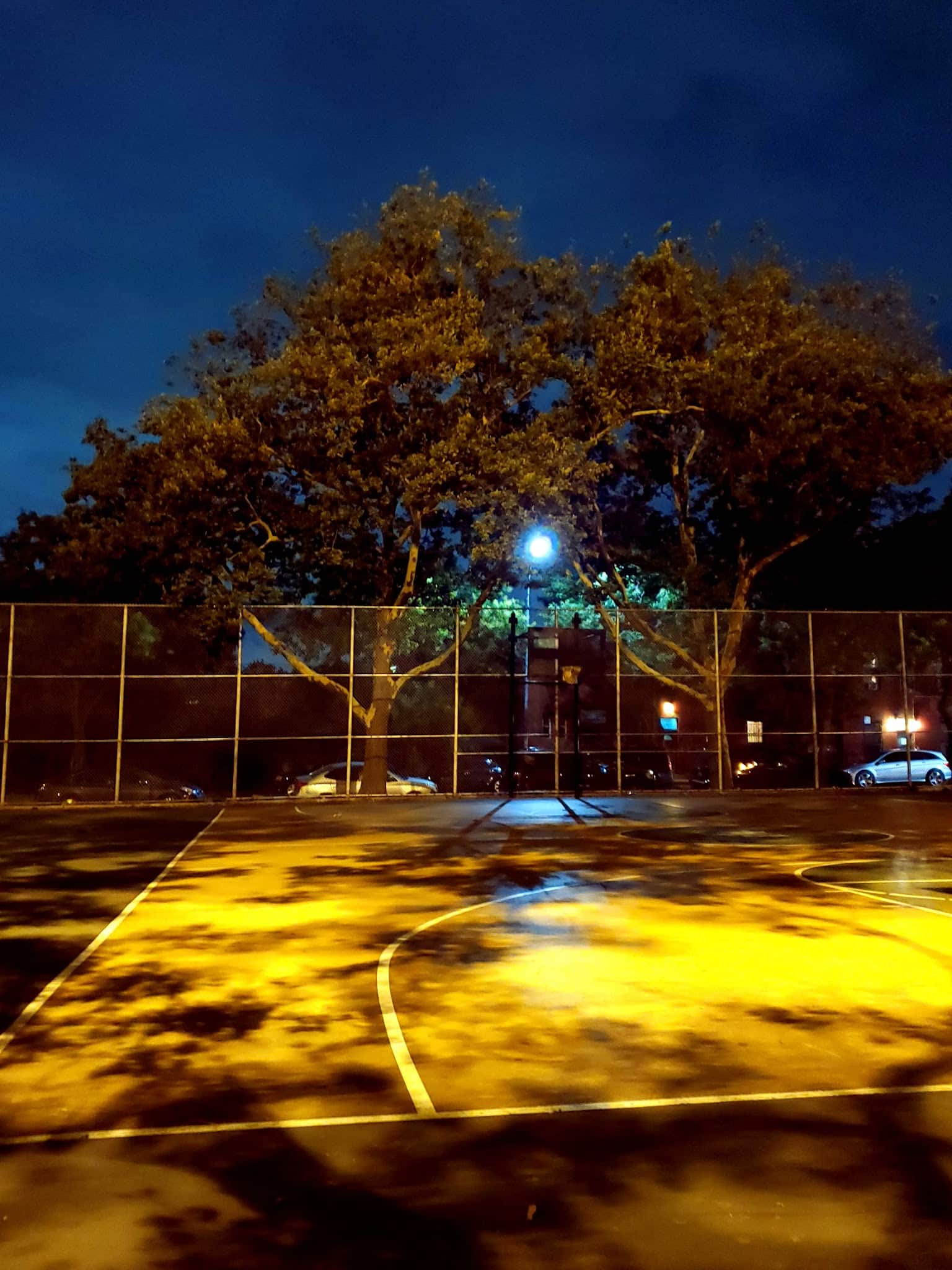 Fish Playground - Brooklyn, NY