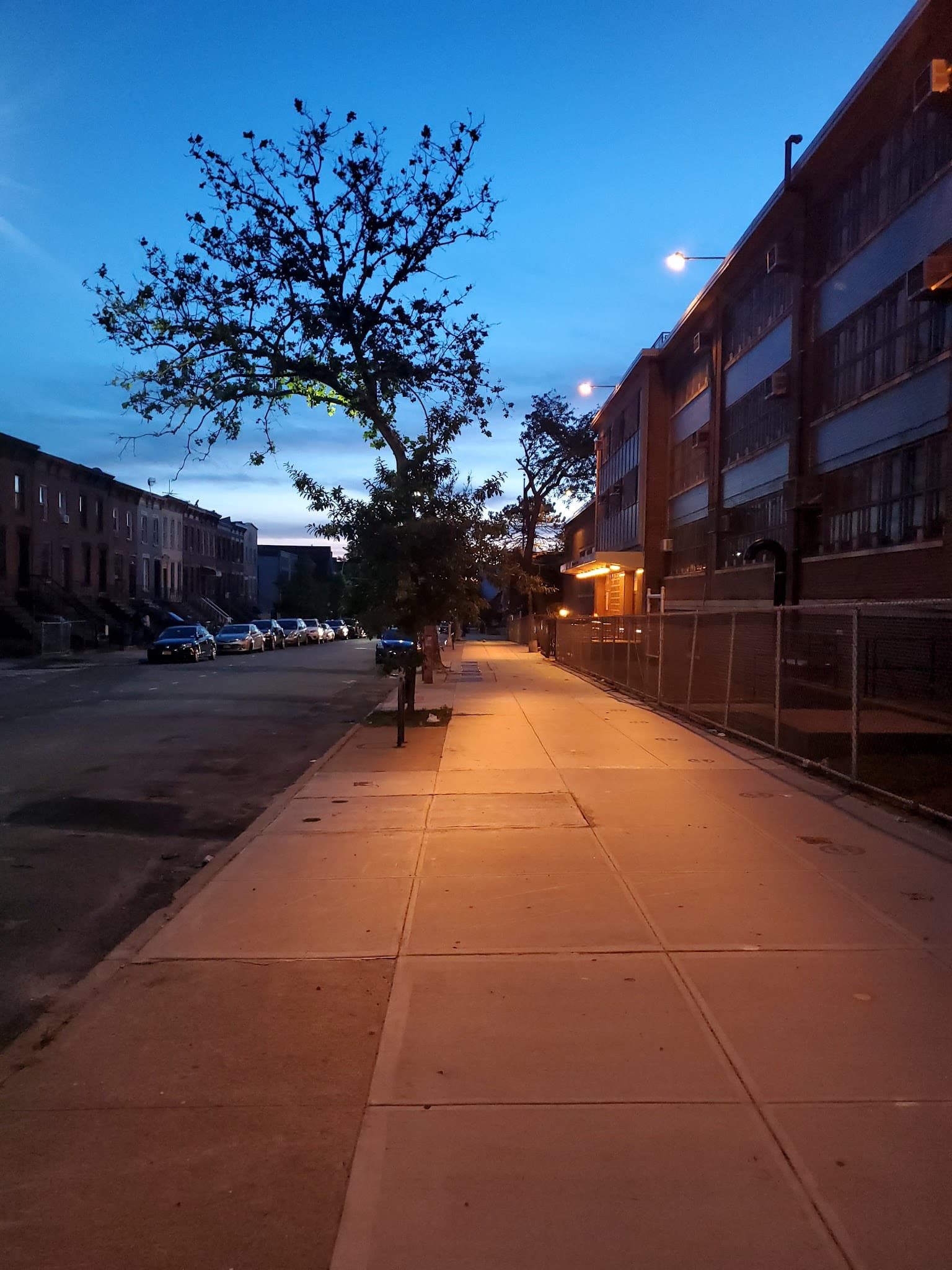 Fish Playground - Brooklyn, NY