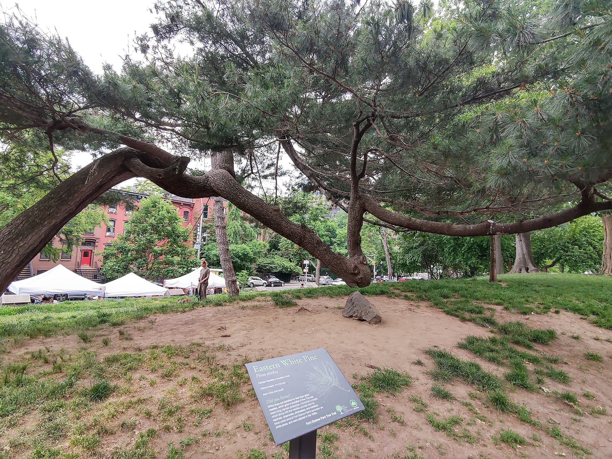 Fort Greene Playground South - Brooklyn, NY