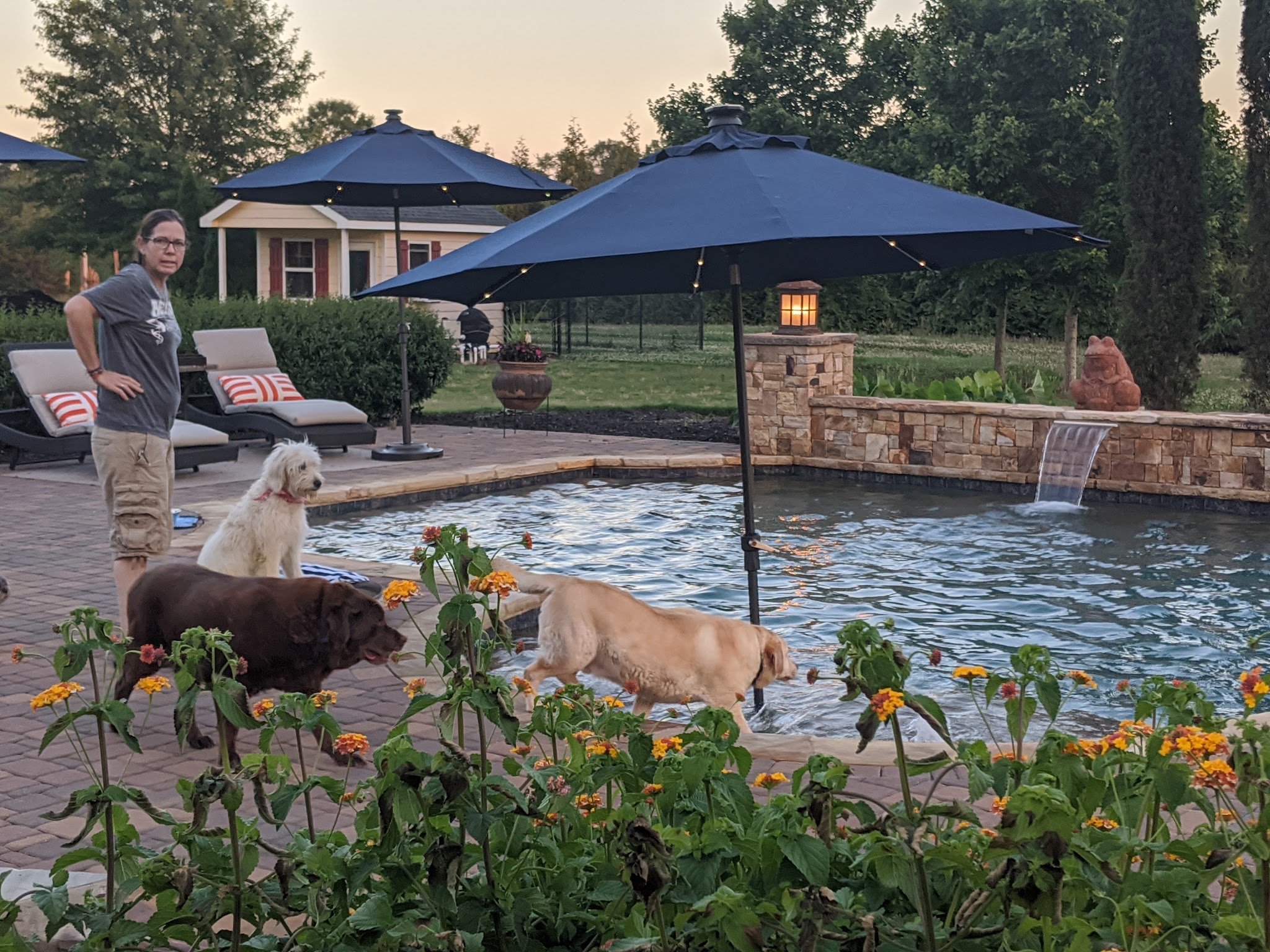 Canine Country Club of the South - Brooks, GA