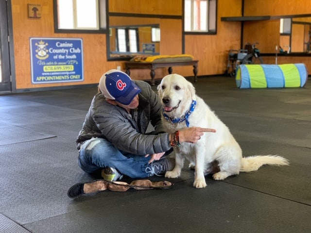 Canine Country Club of the South - Brooks, GA