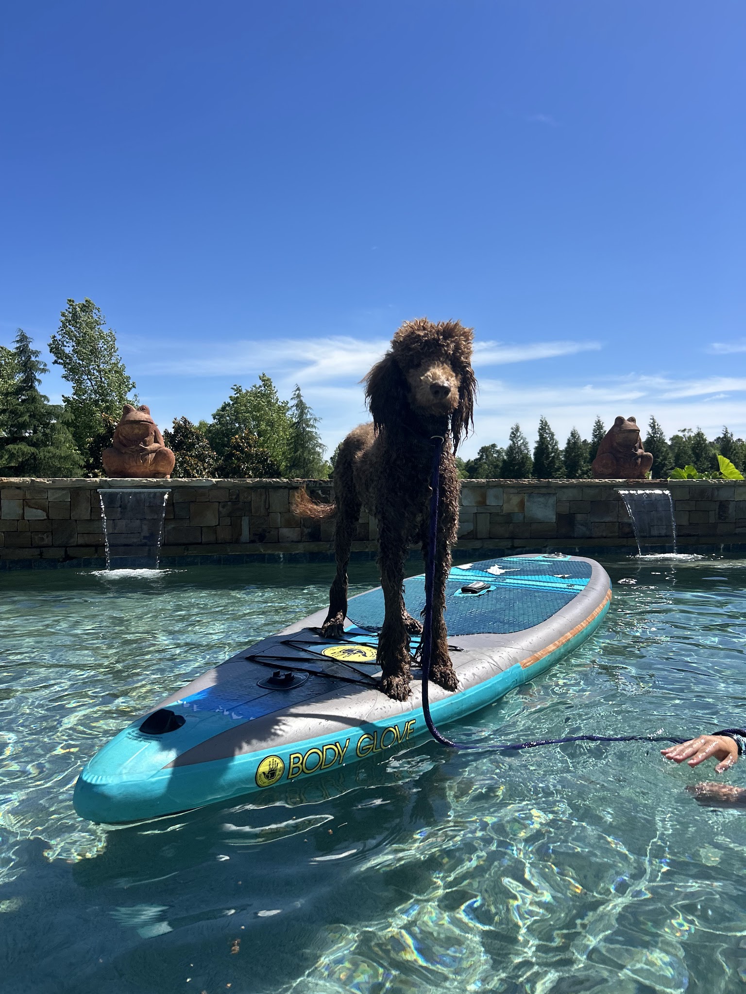 Canine Country Club of the South - Brooks, GA