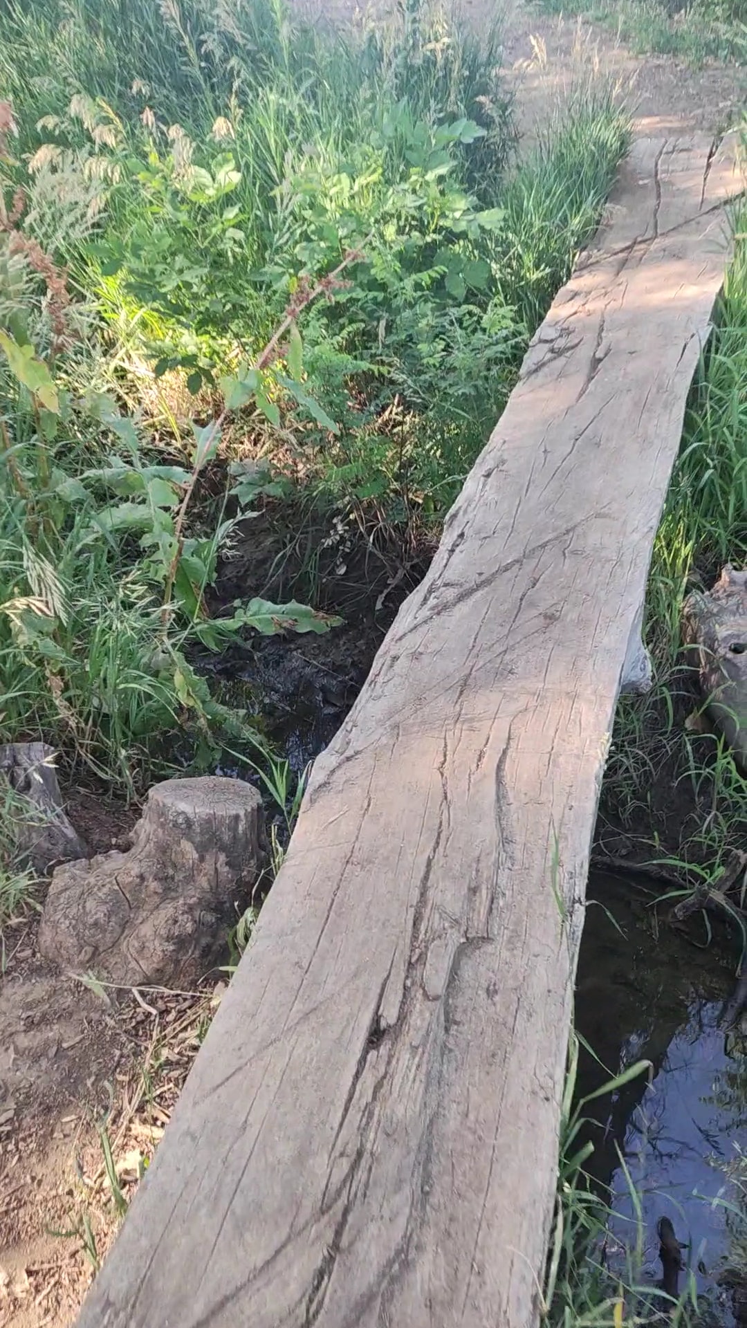 McKay Lake Parking Lot - Broomfield, CO