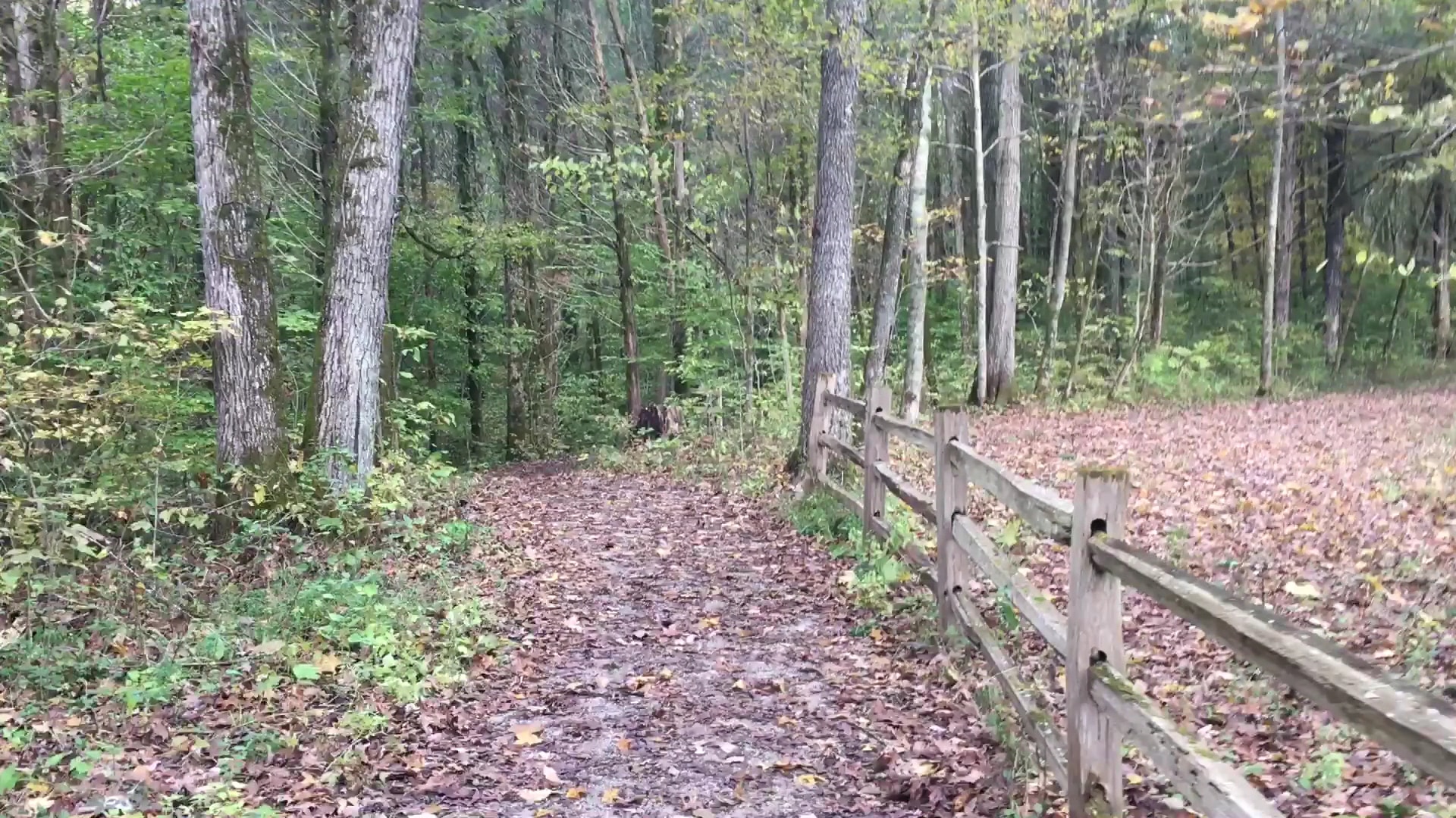 Cedar Sink Trailhead - Brownsville, KY