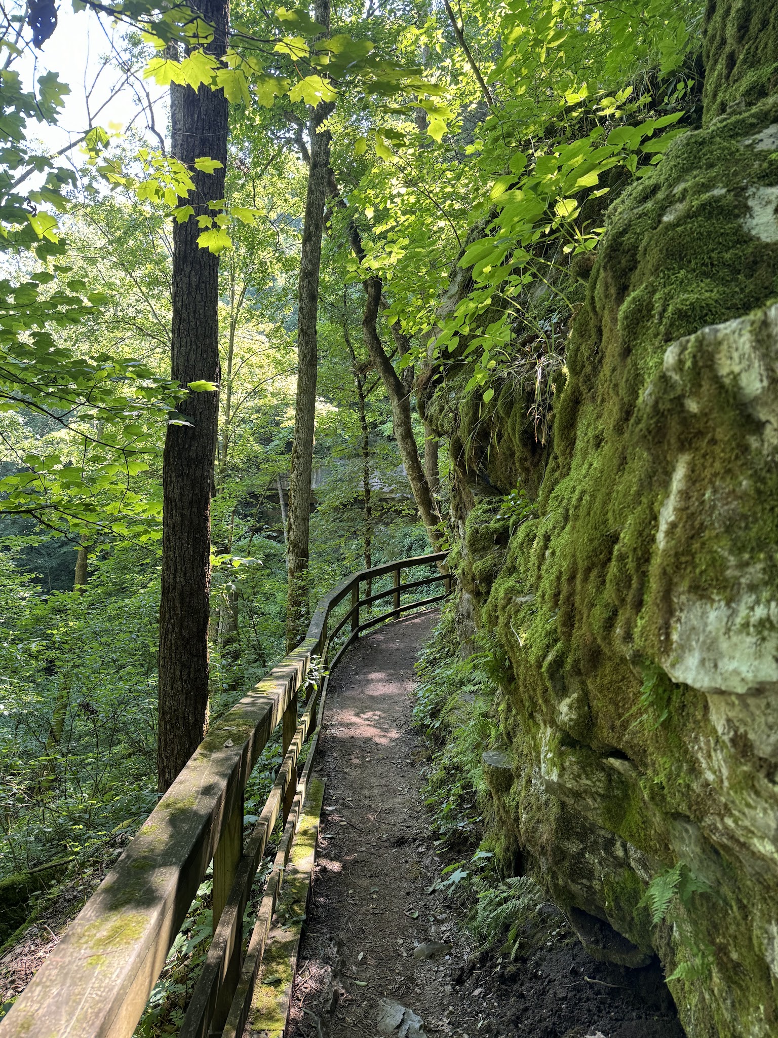 Cedar Sink Trailhead - Brownsville, KY