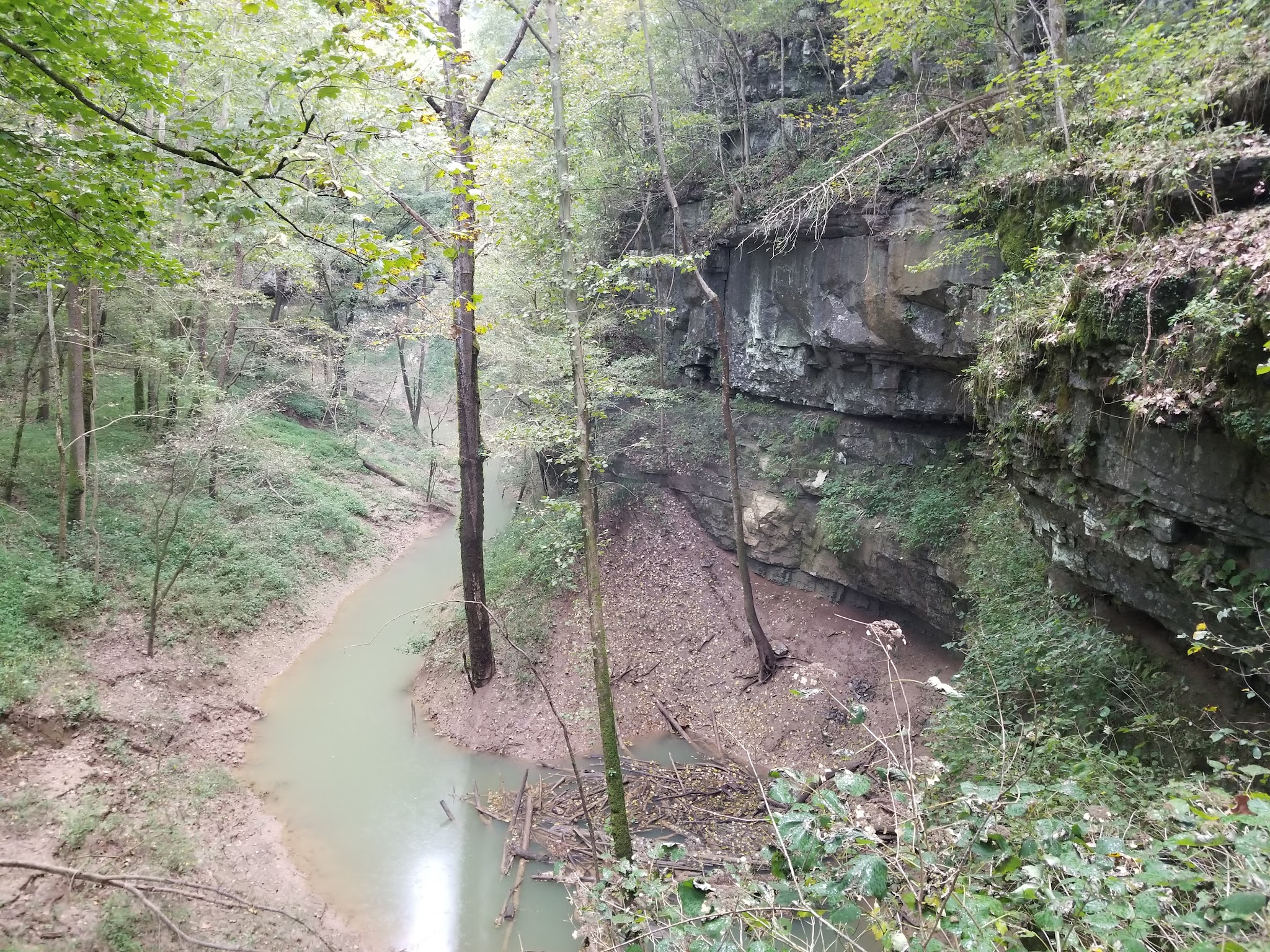 Cedar Sink Trailhead - Brownsville, KY