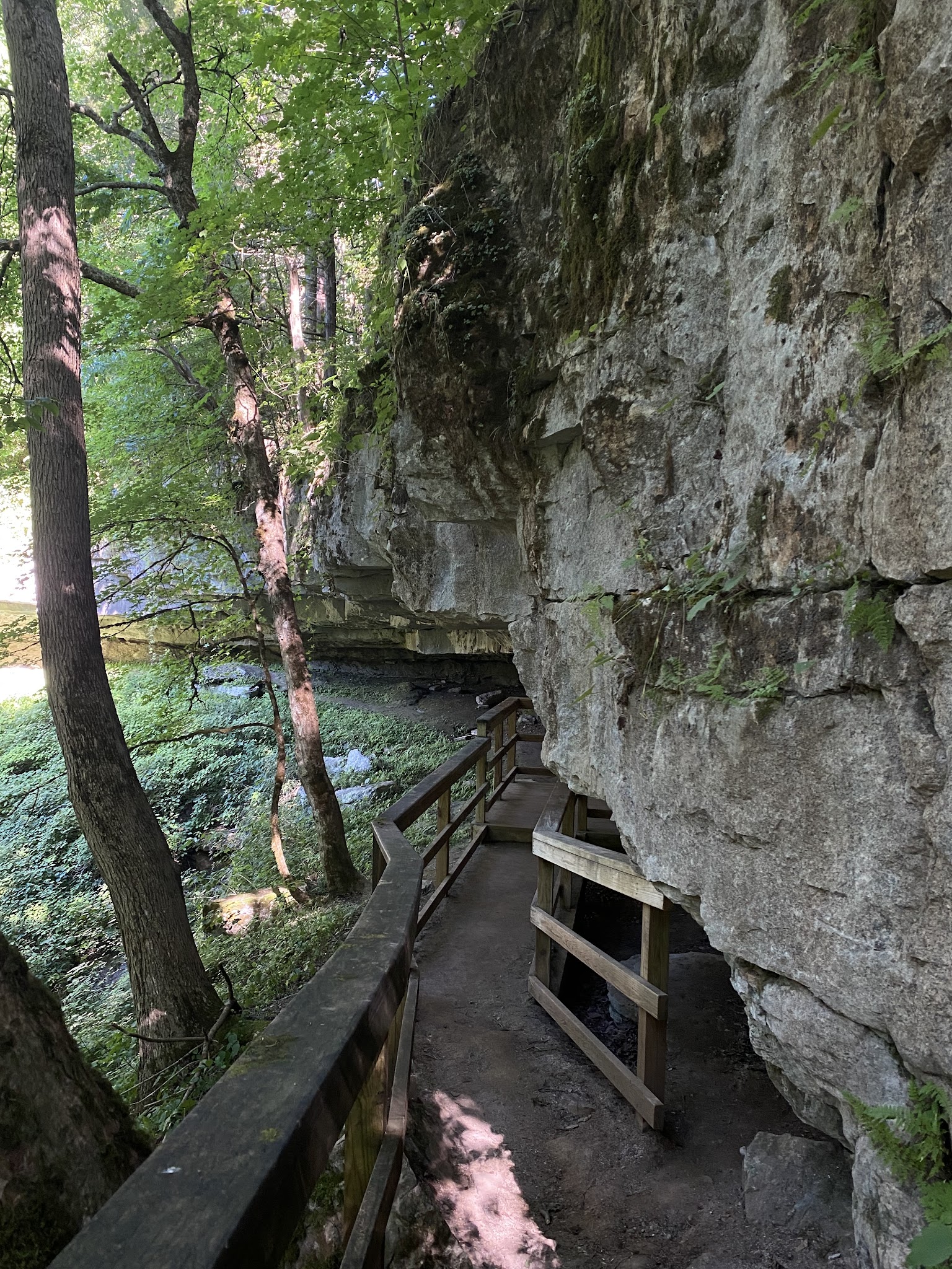 Cedar Sink Trailhead - Brownsville, KY