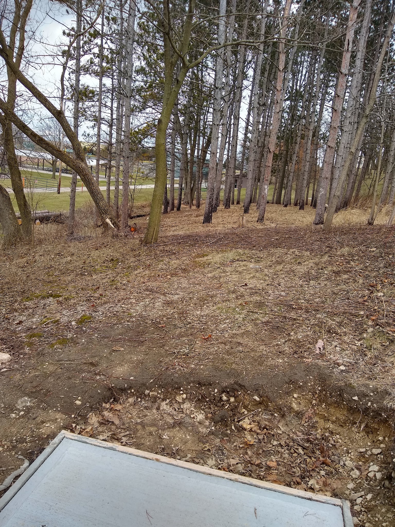 Dale Michels Park - Brownsville, WI