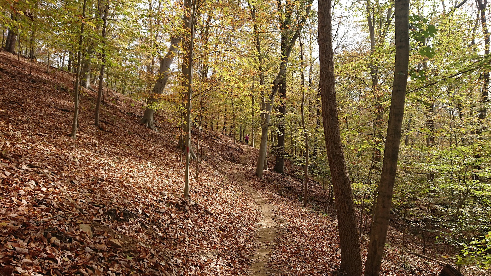 Rivers Edge Trails - Brunswick, MD