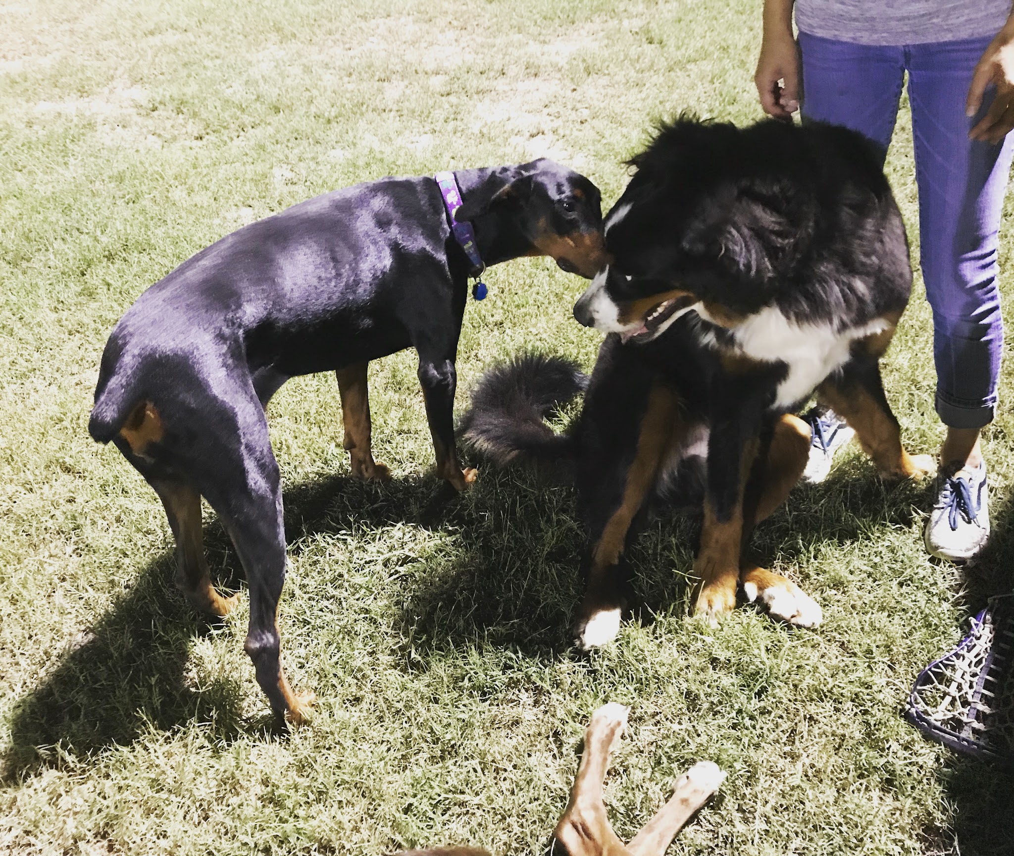 Morris “Buzz” Hamilton Park - Bryan, TX