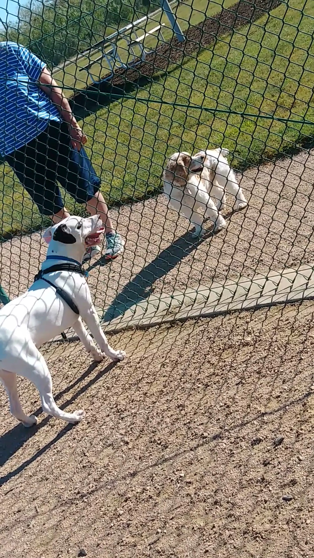 Morris “Buzz” Hamilton Park - Bryan, TX