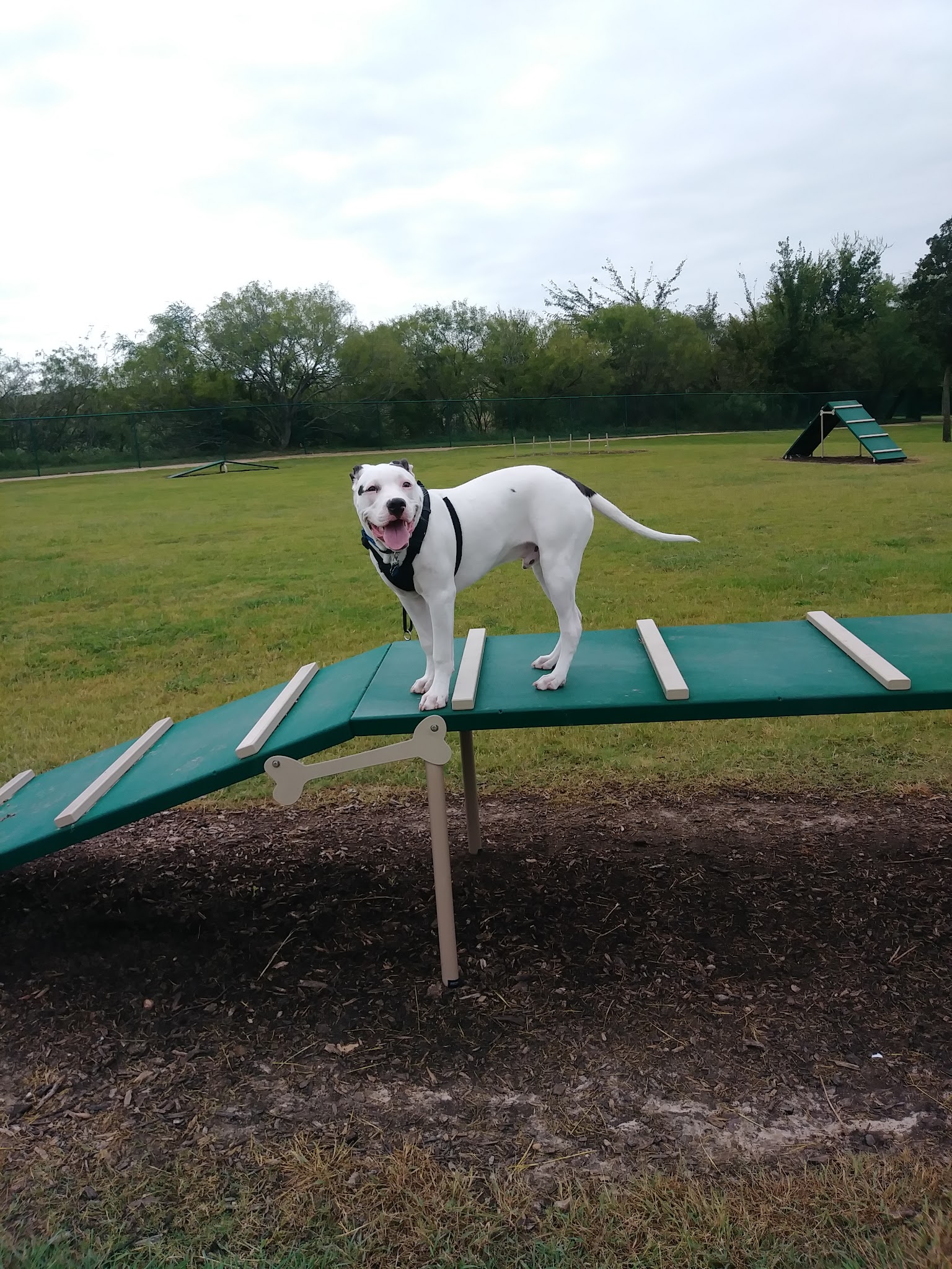 Morris “Buzz” Hamilton Park - Bryan, TX