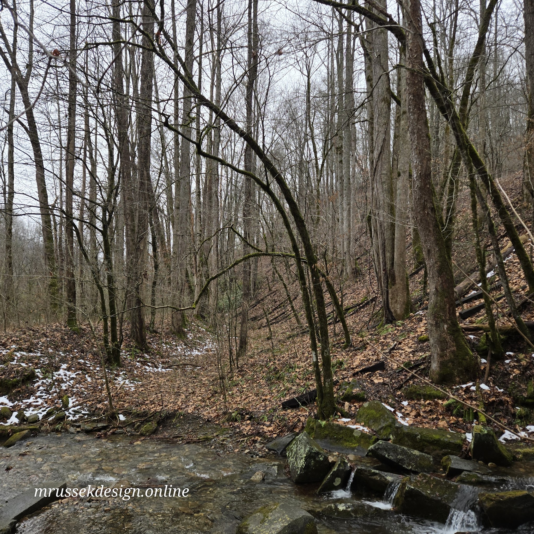 Trailhead for Findley Falls - Bryson City, NC