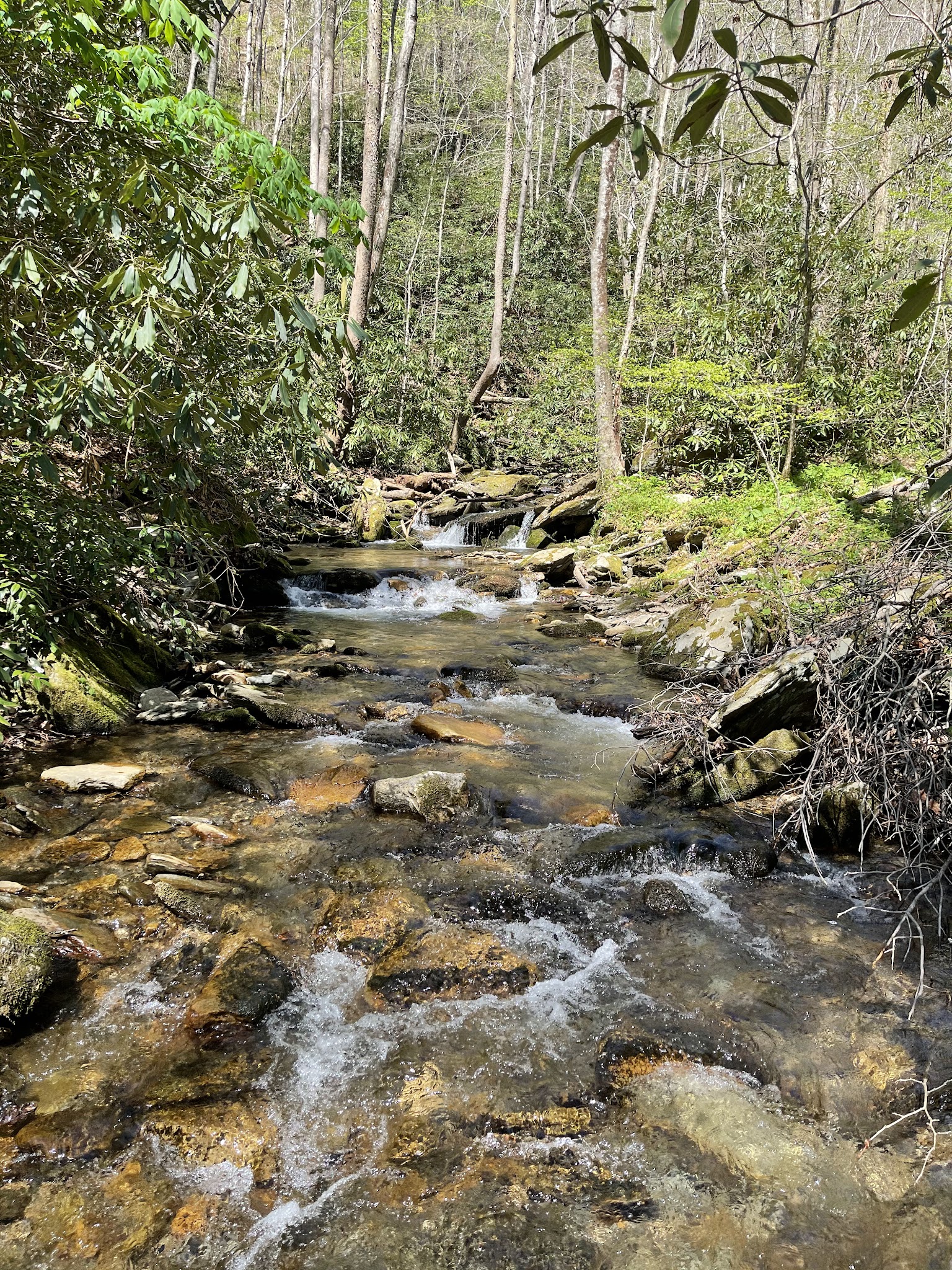 Trailhead for Findley Falls - Bryson City, NC
