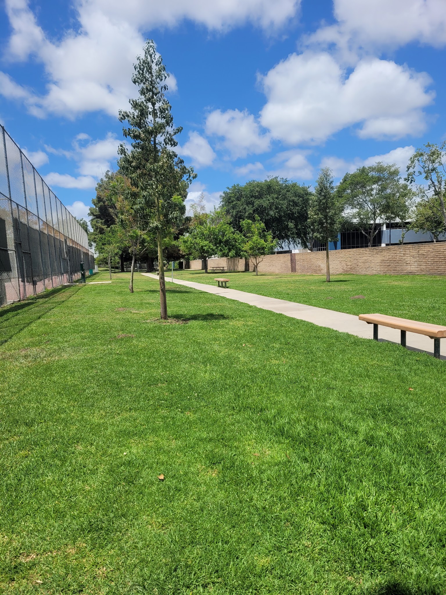 Bellis Park Dog Park - Buena Park, CA