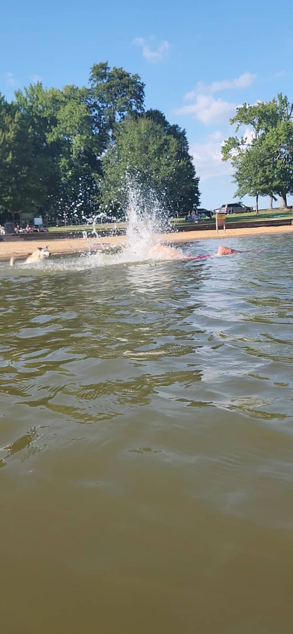 Buffalo Park and Campground - Buffalo Junction, VA