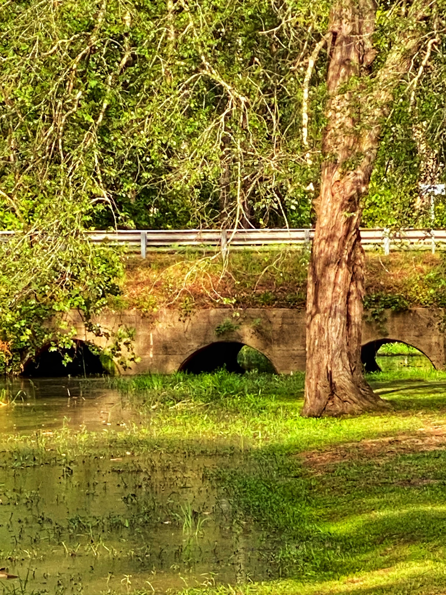 Buffalo Springs National Historic Site - Buffalo Junction, VA