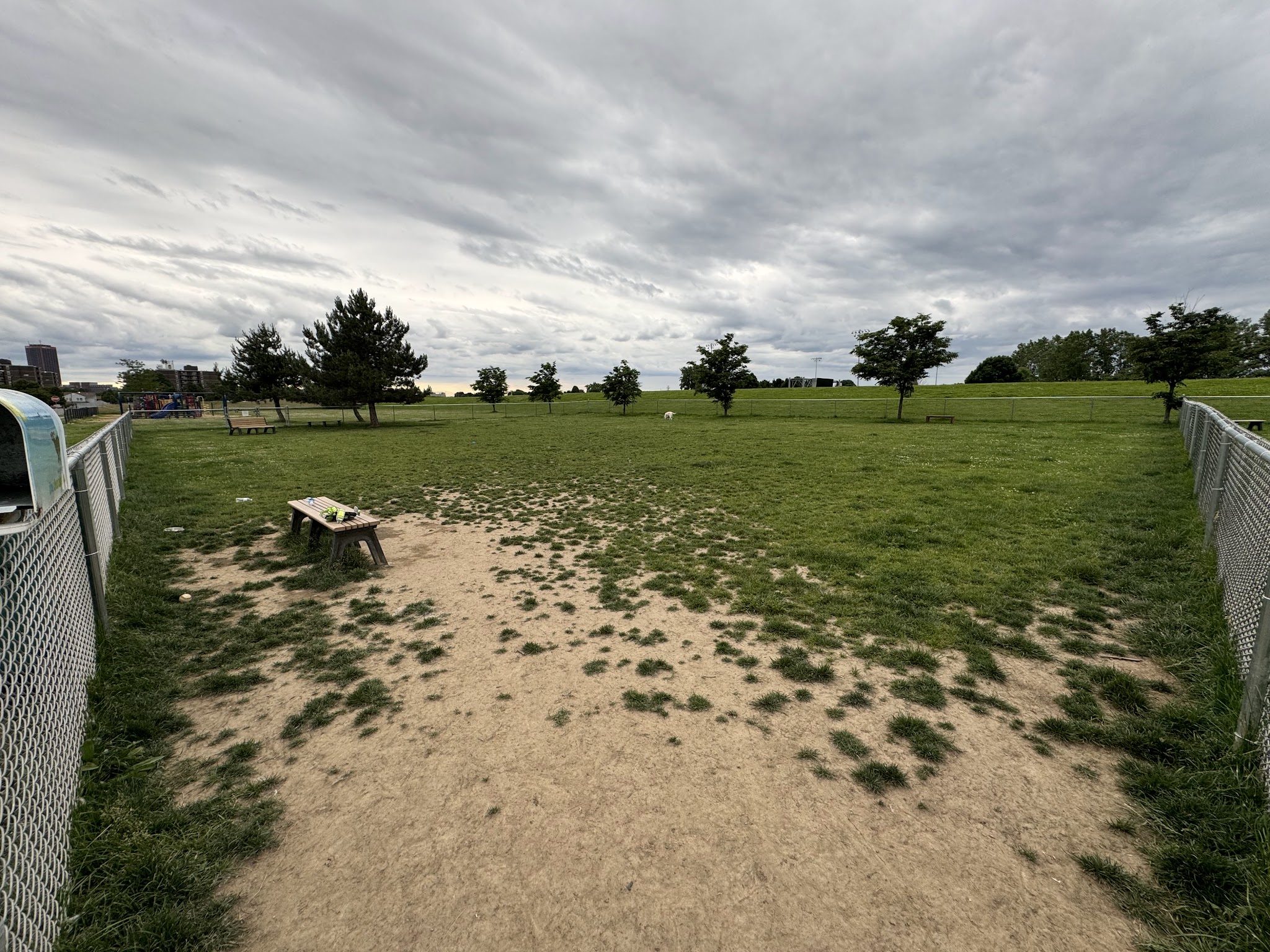 Temporary Dog Park (Ralph Wilson Park) - Buffalo, NY