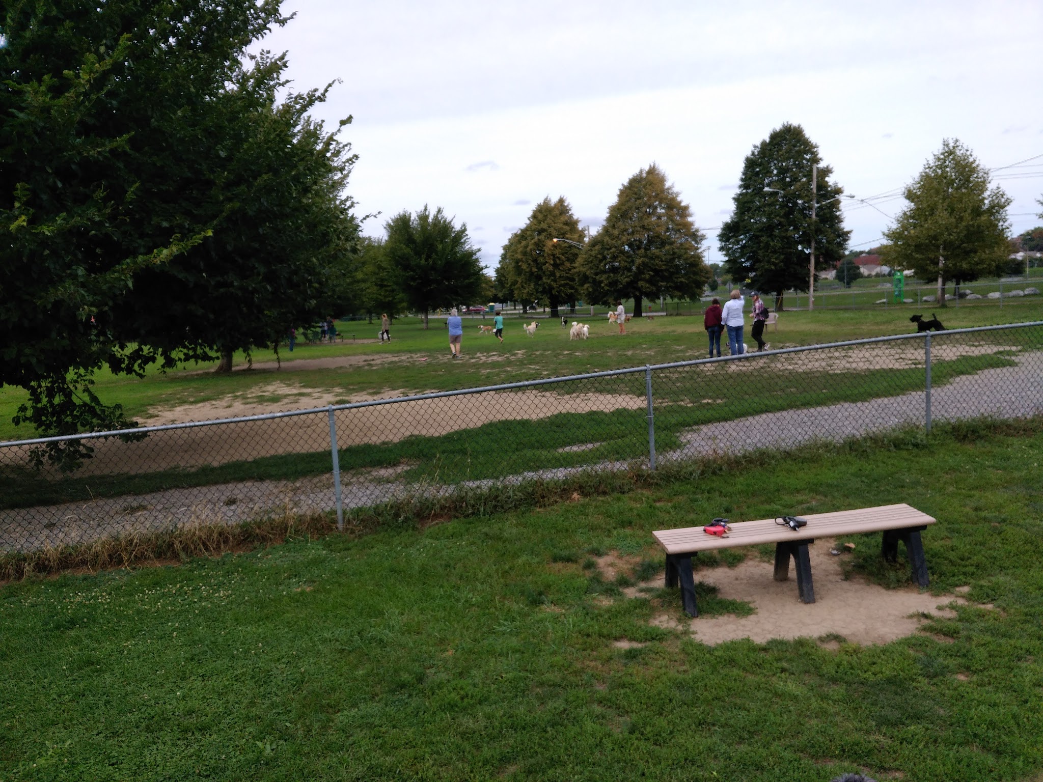 The Barkyard - Off-Leash Dog Park - Buffalo, NY