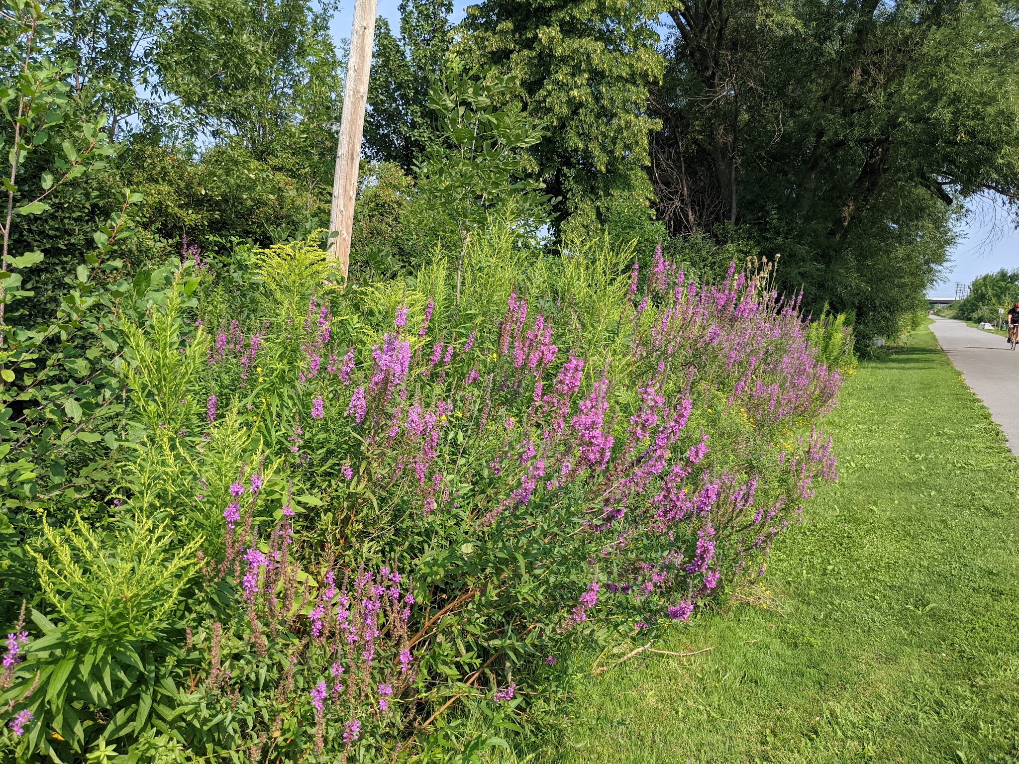 Tonawanda Rails-To-Trails - Buffalo, NY