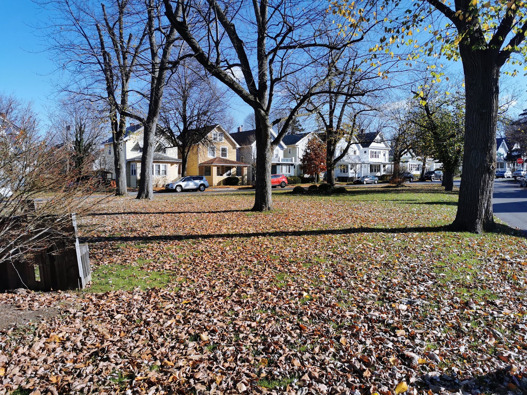 Tyler & Flower Triangle Park - Buffalo, NY