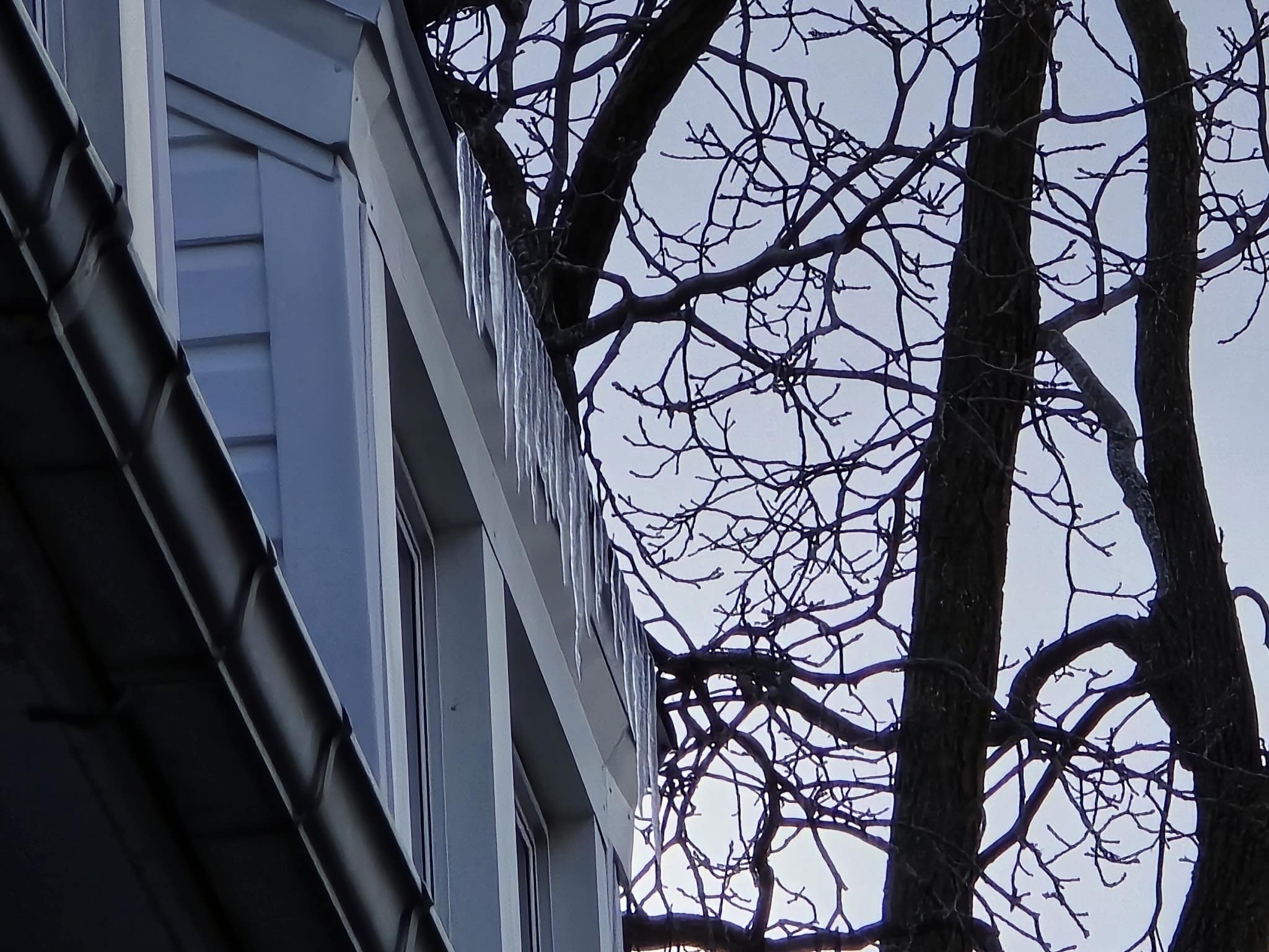 Tyler & Flower Triangle Park - Buffalo, NY