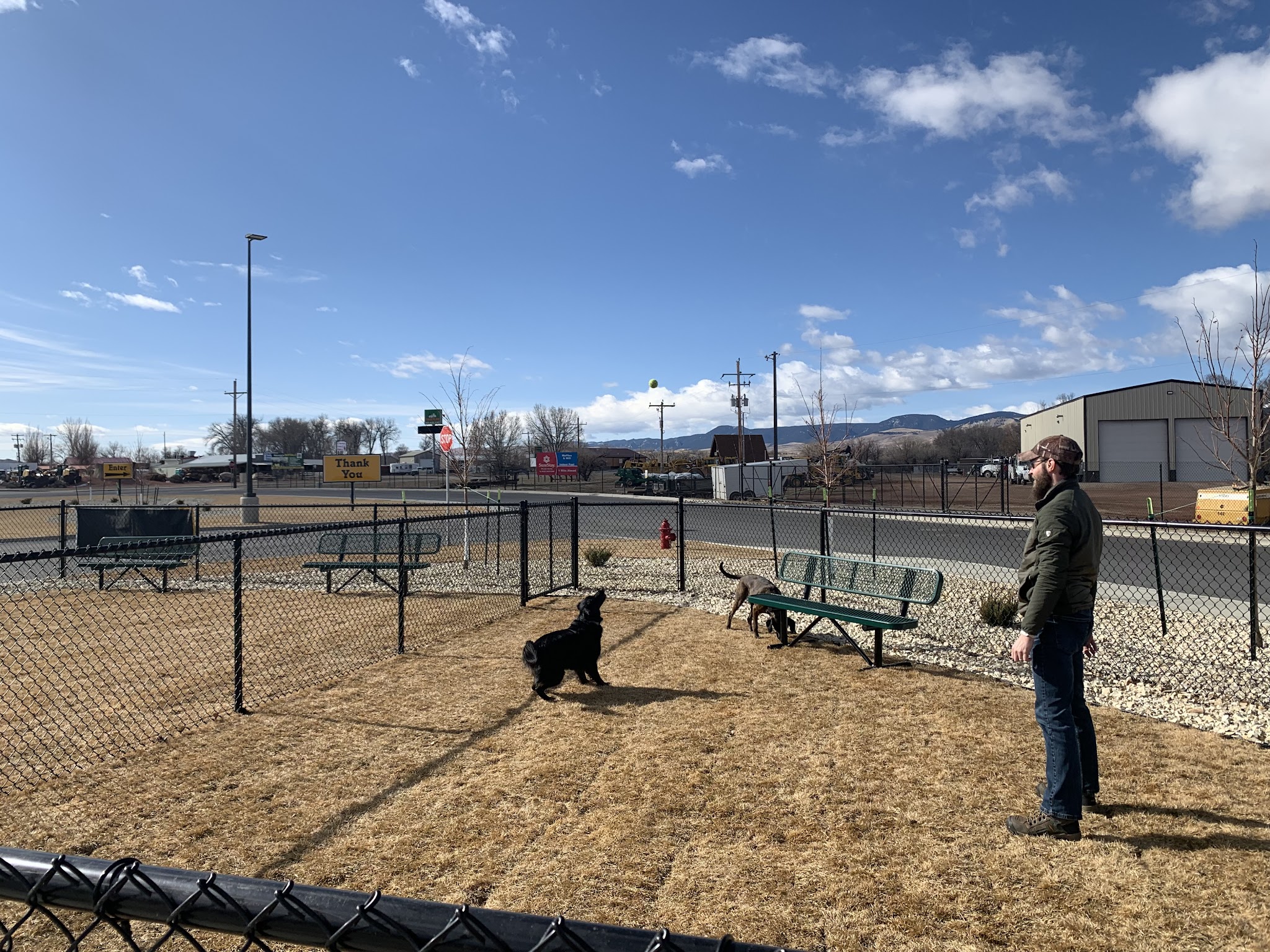 Dog Park at Love's Travel Stops - Buffalo, WY