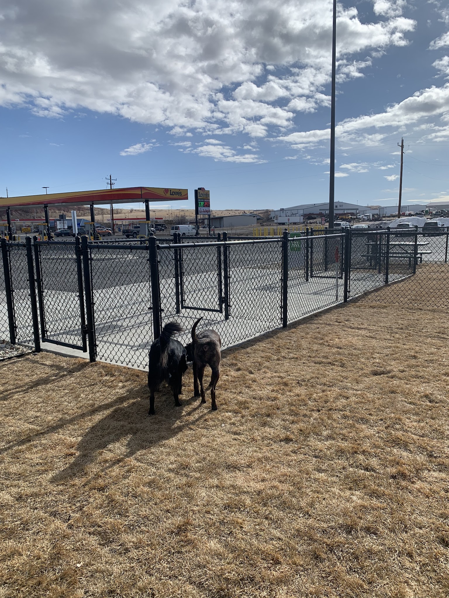 Dog Park at Love's Travel Stops - Buffalo, WY