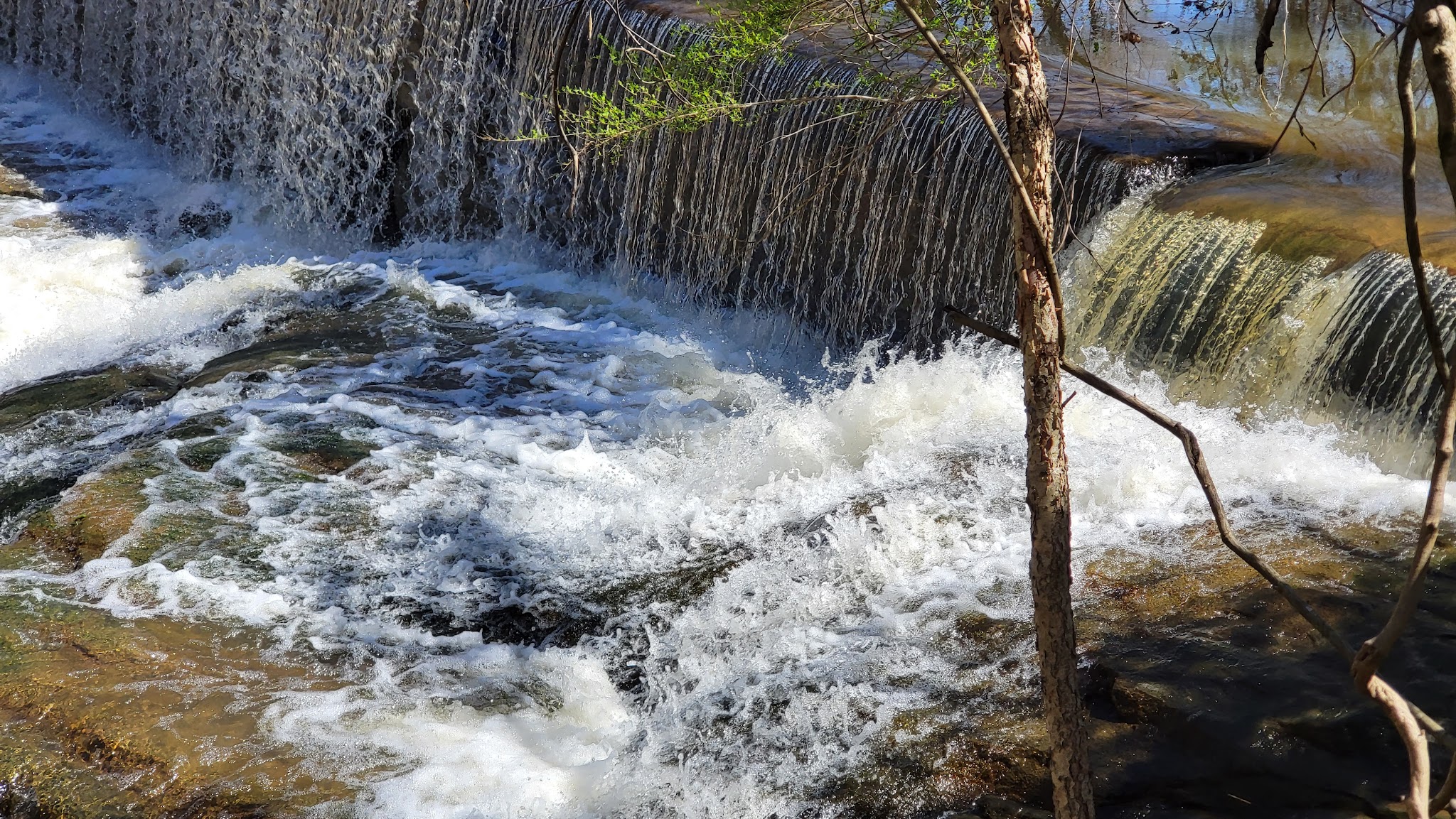 Ivy Creek Greenway - Buford, GA
