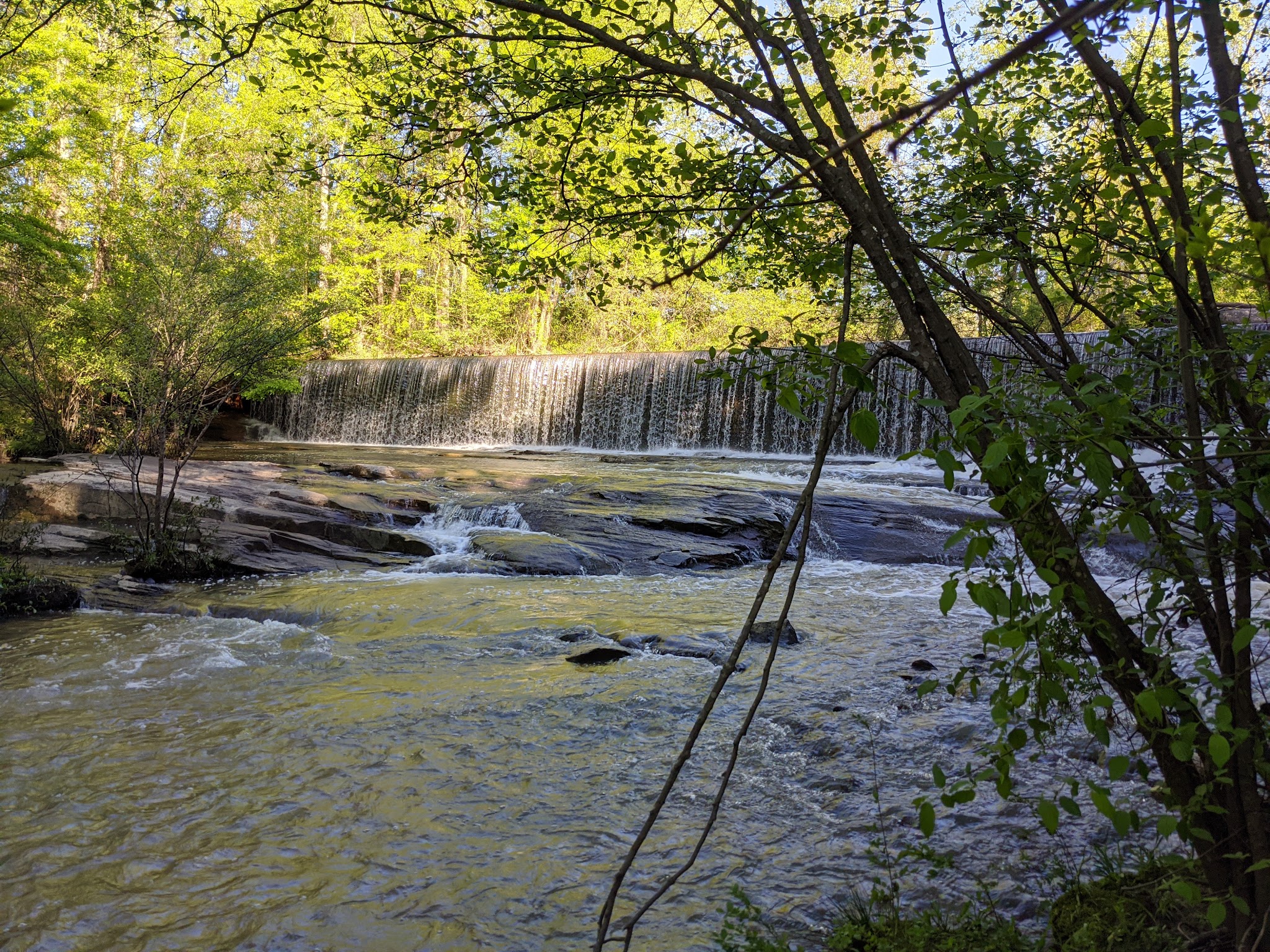Ivy Creek Greenway - Buford, GA